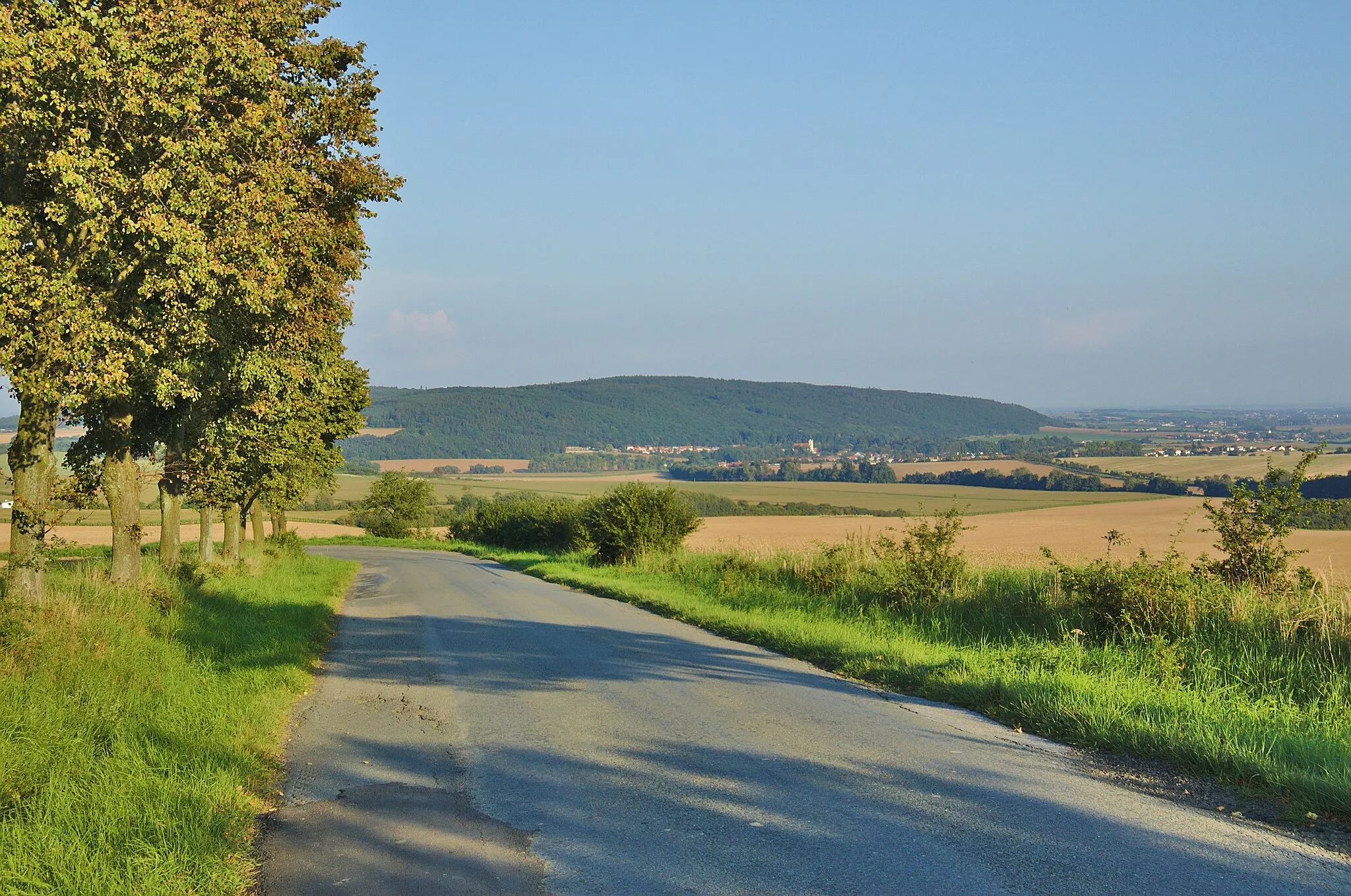 Photo showing: Pohled na Velký Kosíř ze silnice od Přemyslovic do Pěnčína, okres Prostějov