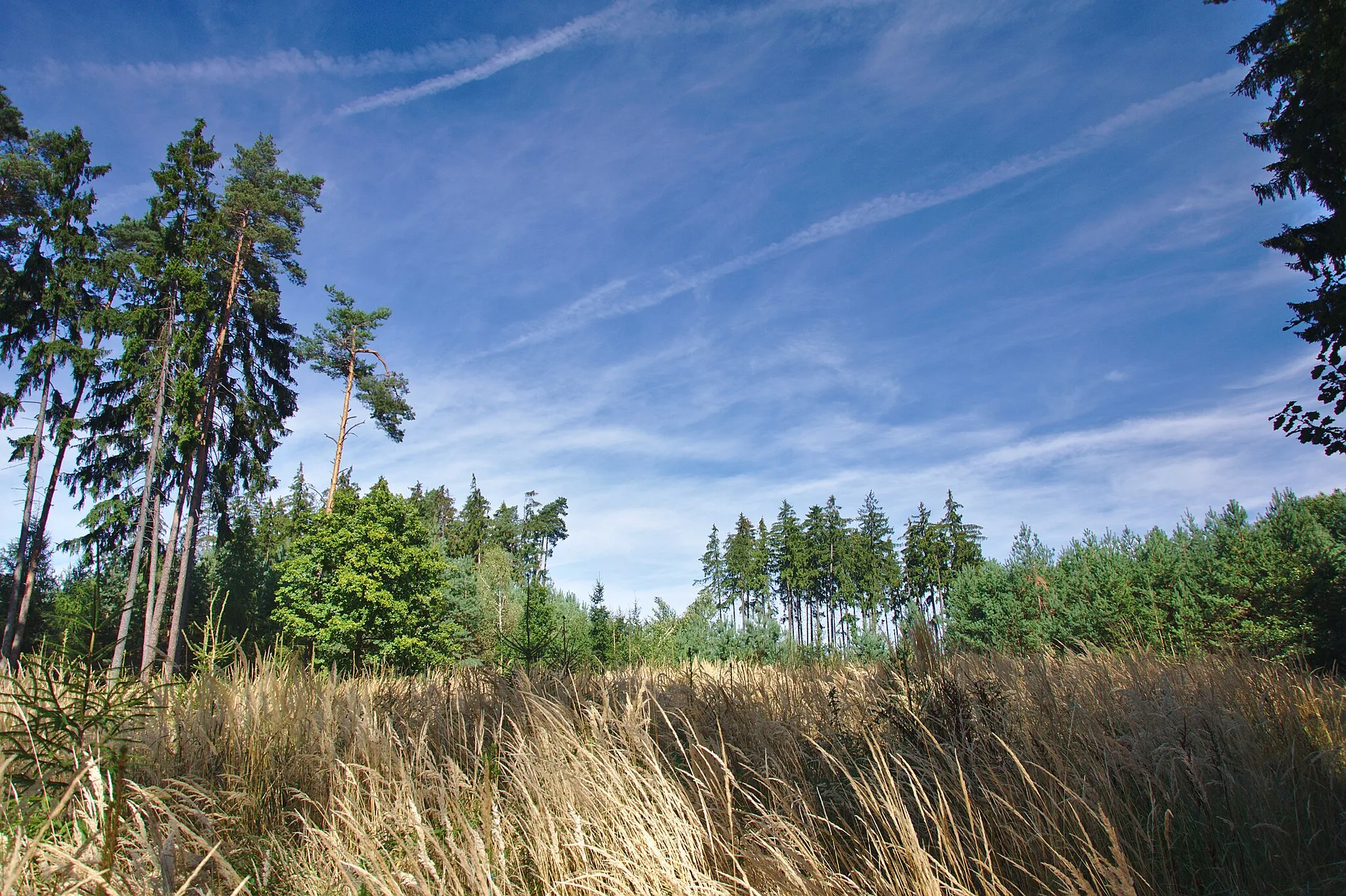 Photo showing: Přírodní park Velký Kosíř, okres Prostějov