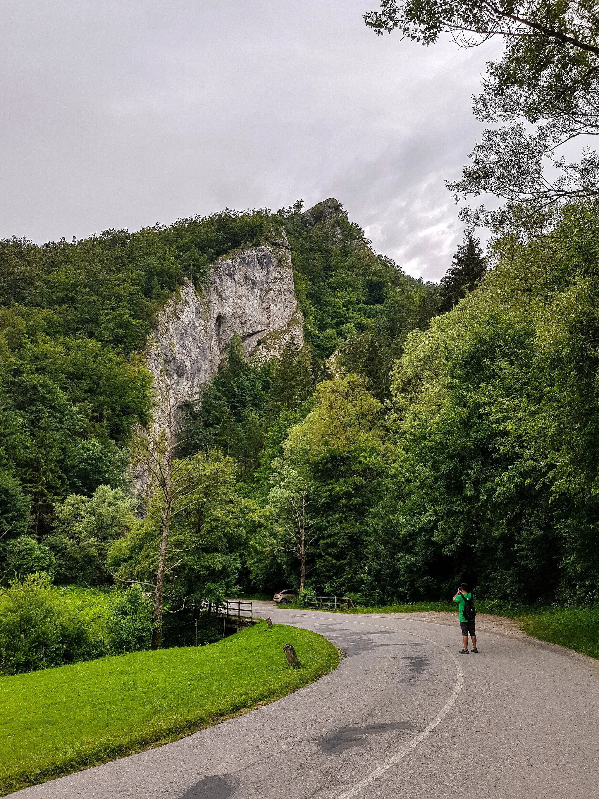 Photo showing: Manínska Gorge (Manínska tiesňava) near city of Považská Bystrica, Slovakia pictured in July 2020.
