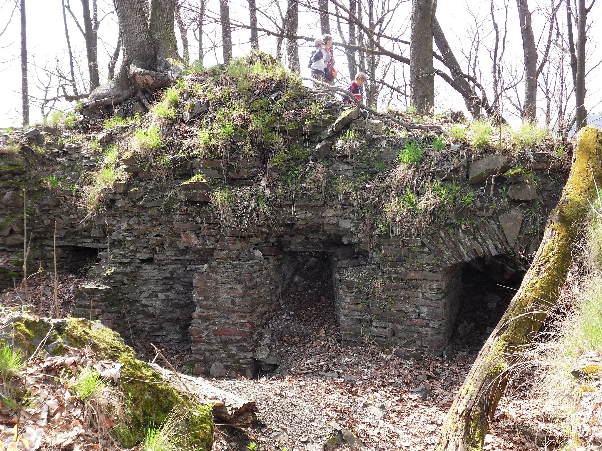 Photo showing: Drahotuš, zřícenina hradu, ruins