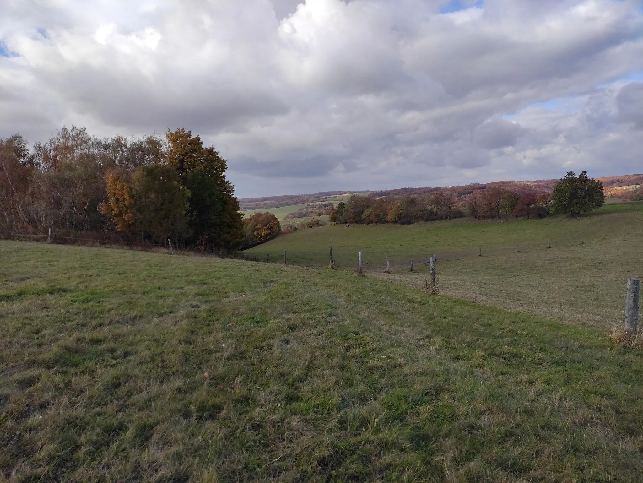 Photo showing: Dobytčí vrch, Oderské vrchy, okres Olomouc