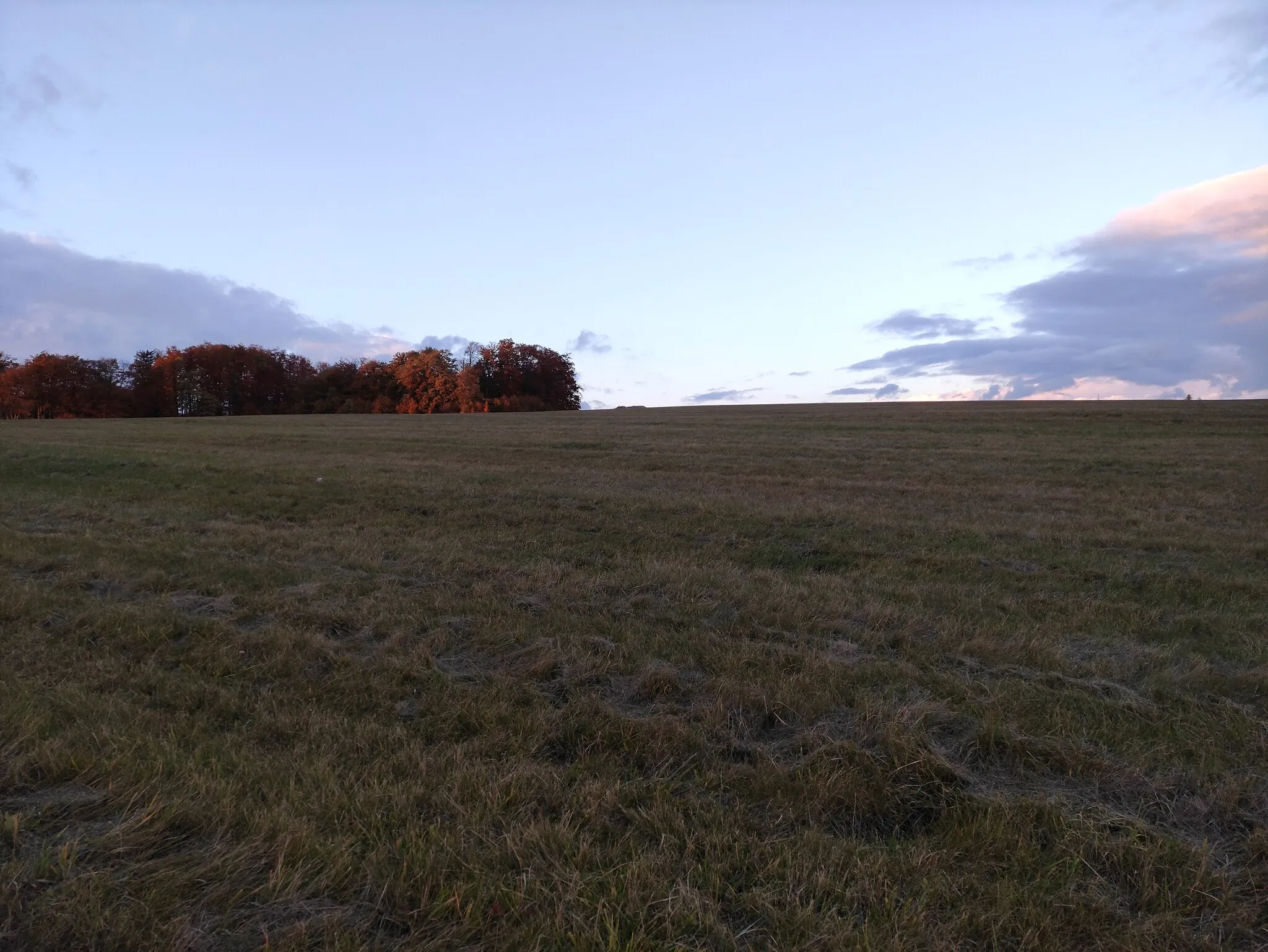 Photo showing: Klíčův les, Oderské vrchy, vojenský újezd Libavá, okres Olomouc