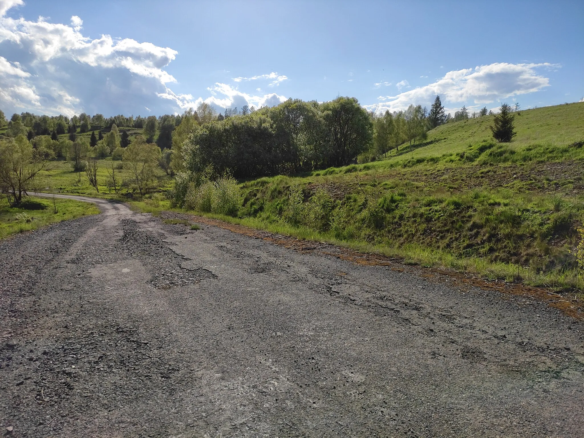 Photo showing: Cesta od Ruského bunkru na Popelný kout, vojenský újezd Libavá, Oderské vrchy
