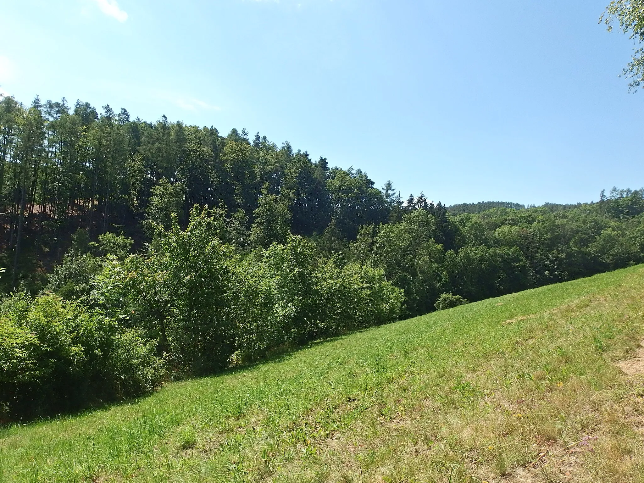 Photo showing: Ruda nad Moravou, Šumperk District, Czechia, part Hostice.