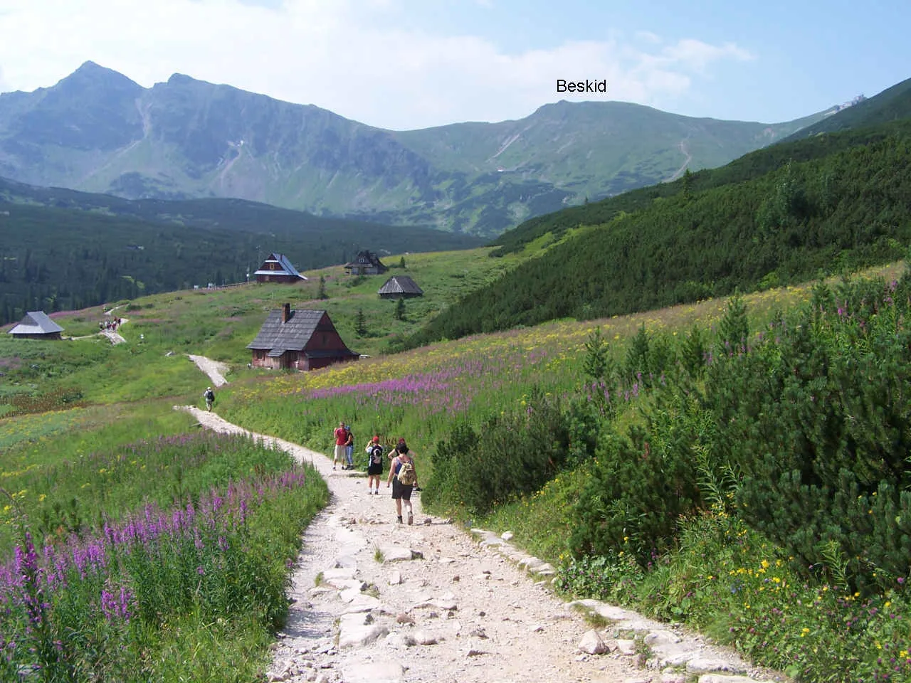 Photo showing: Beskid (Tatra Mountains)