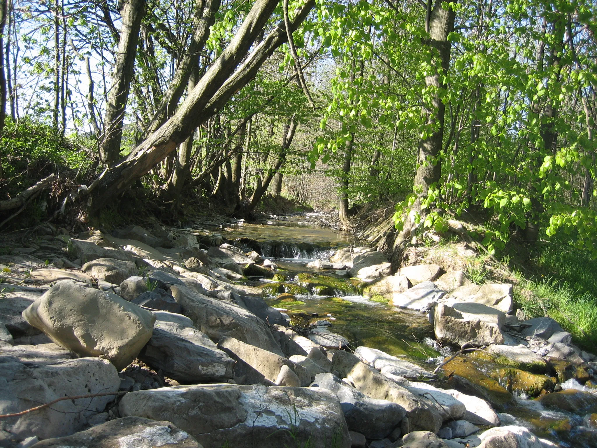 Photo showing: Lušovský potok nad ústím do Vsetínské Bečvy