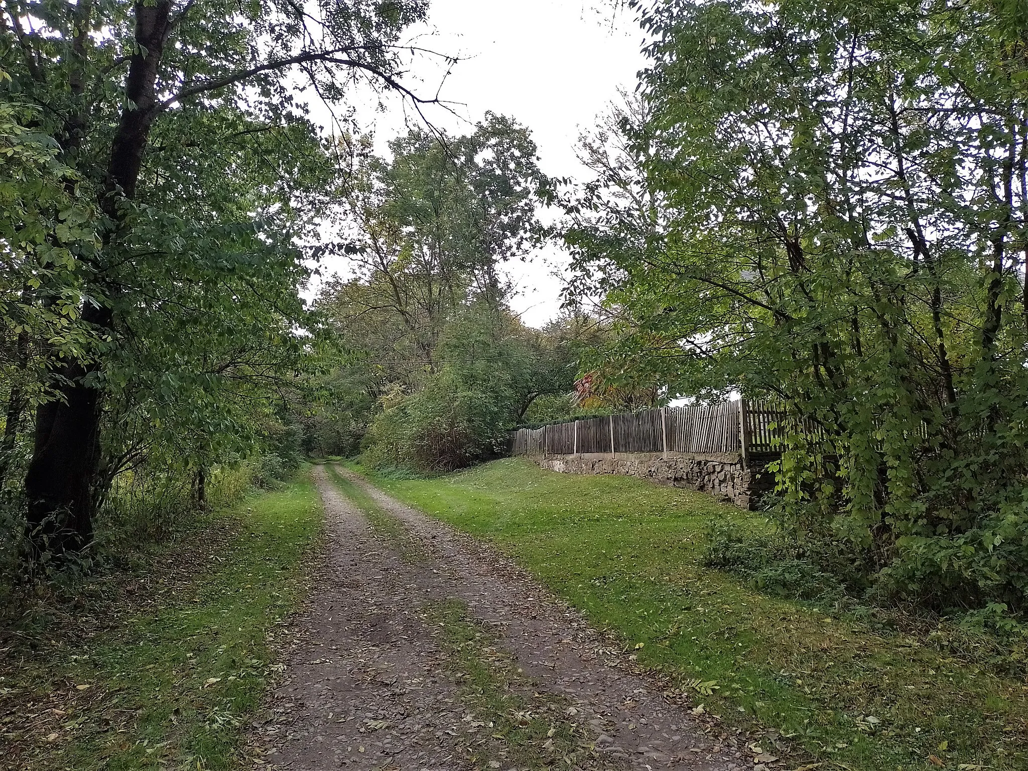 Photo showing: Road through an abandoned village Pelhřimovy, Czechia