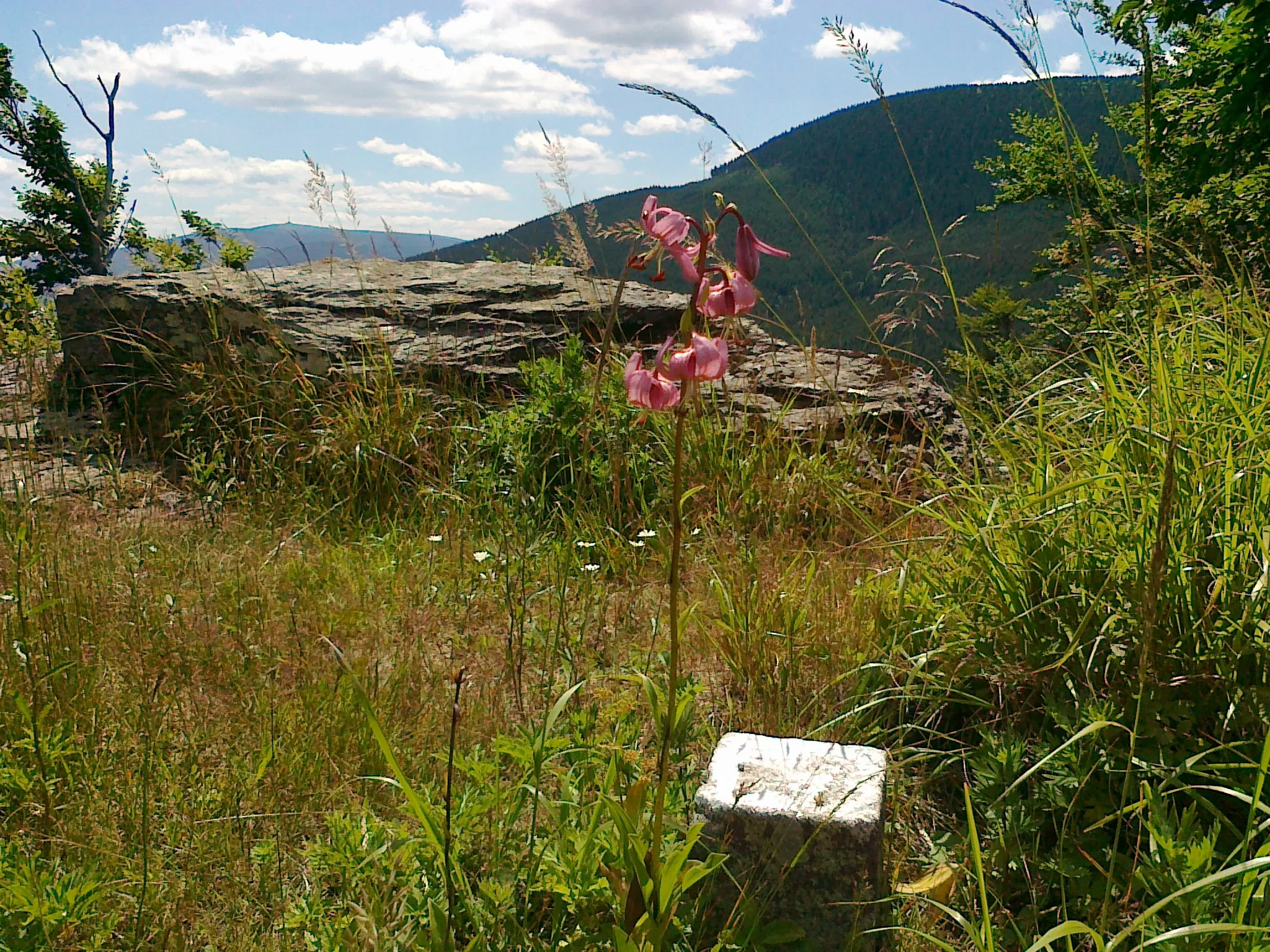 Photo showing: Punkt geodezyjny na szczycie góry Šumný - 1073 m n.p.m., w dali widoczna góra Žalostná