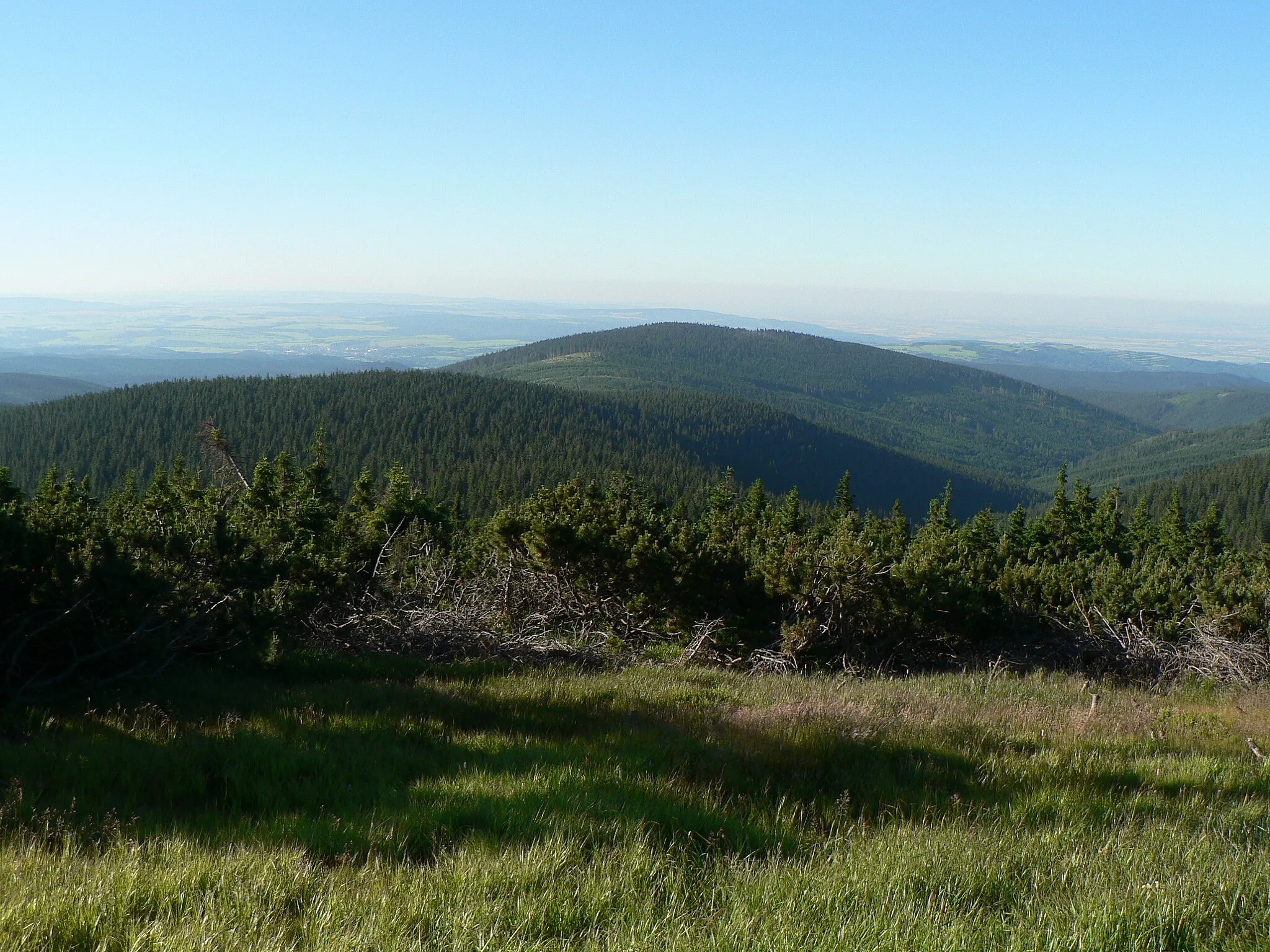 Photo showing: Pohled z Jelení studánky na Ostružnou, vlevo v popředí Jelenka.