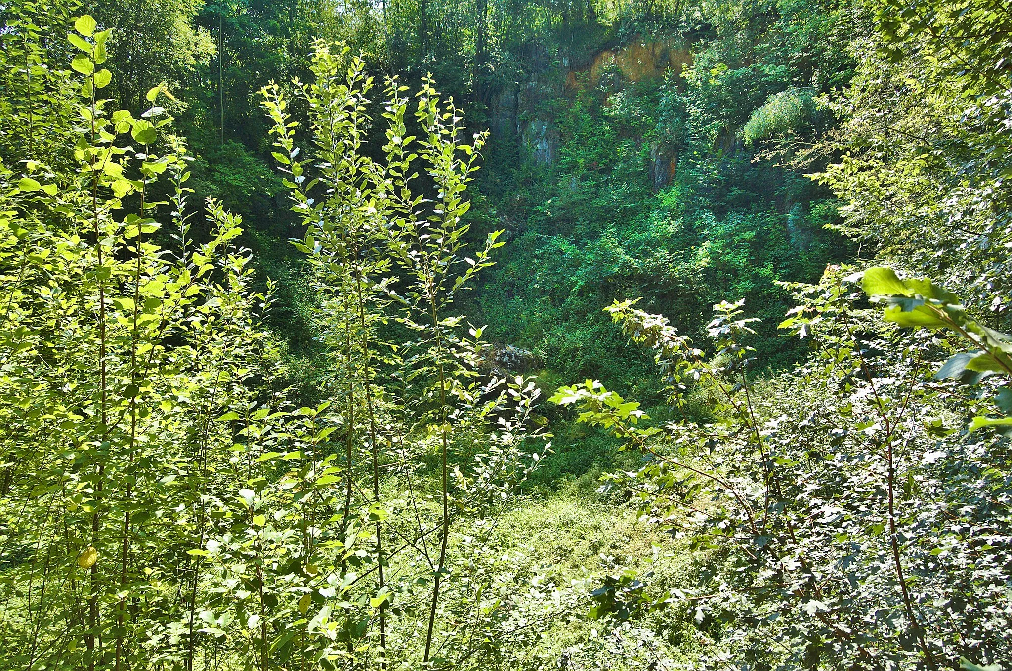 Photo showing: Přírodní památka Geologické varhany, okres Olomouc