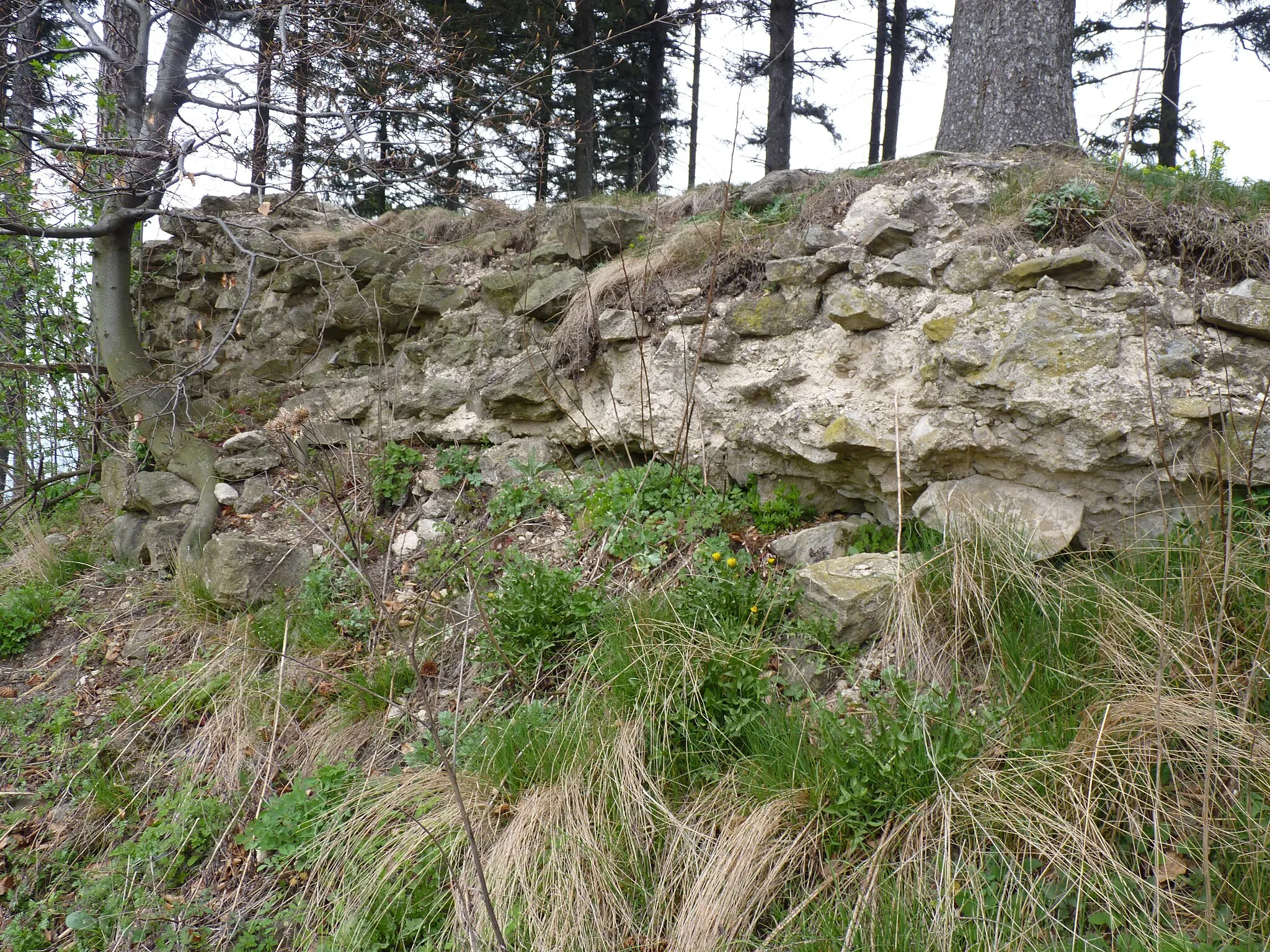 Photo showing: Ruin of Castle Strilky. Chriby, South Moravian Region, Czech Republic