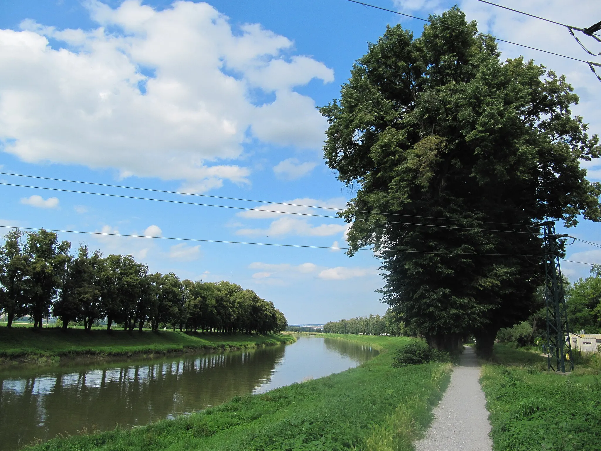 Photo showing: Uherské Hradiště, cesta kolem řeky Moravy.