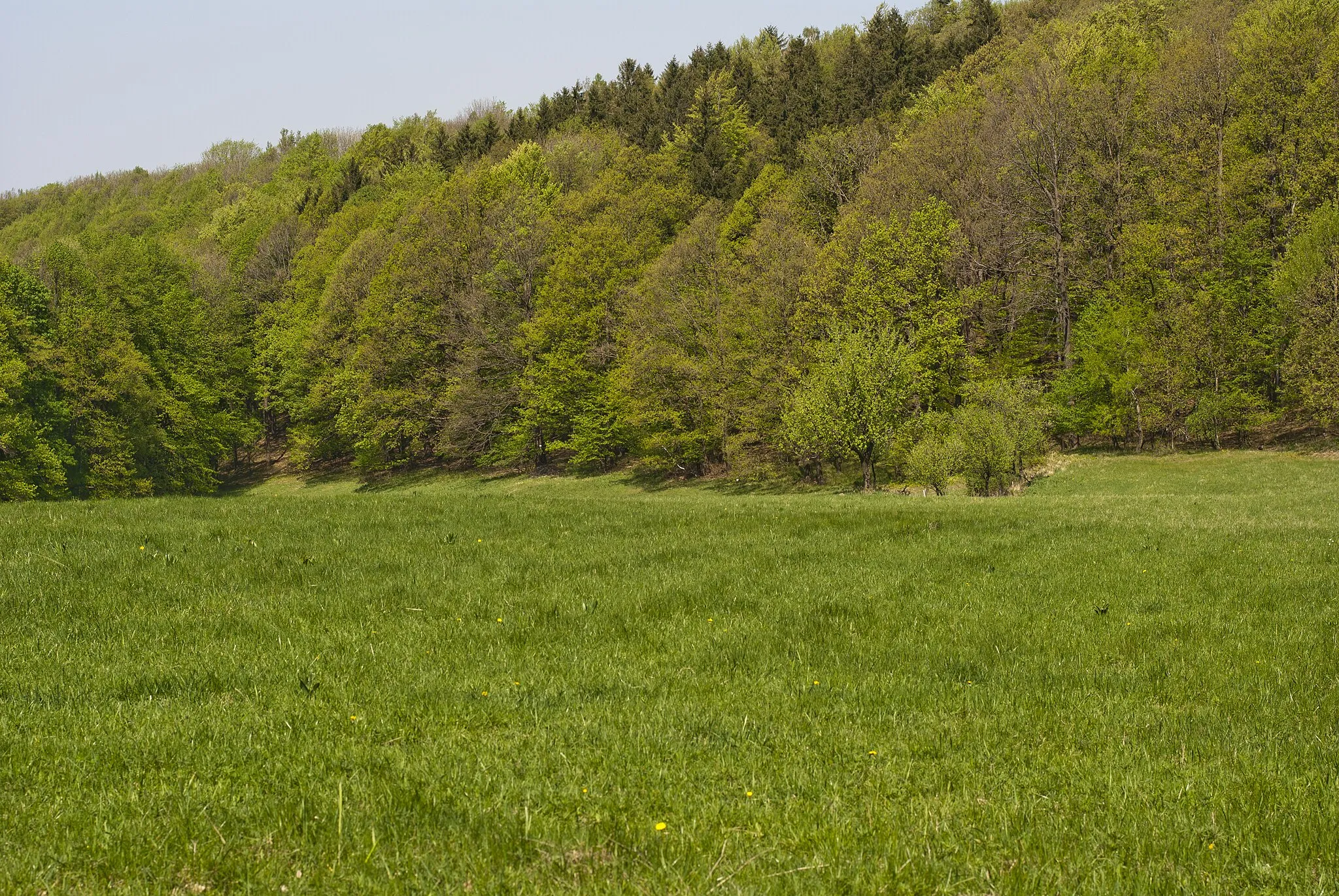 Photo showing: Louka nedaleko přírodní památky Pod Kozincem