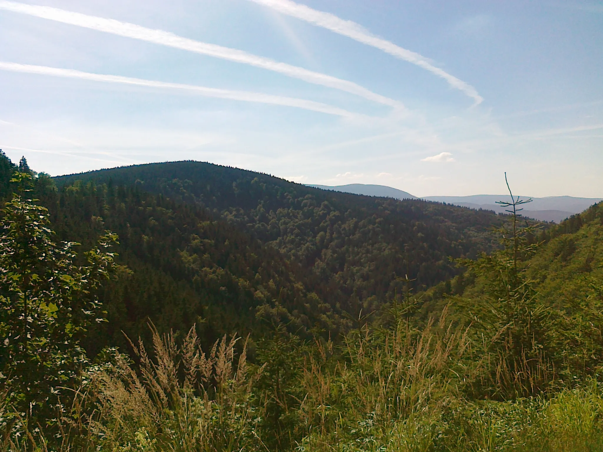 Photo showing: Widok ze ścieżki rowerowej nr 6209 na górę Malé Bradlo