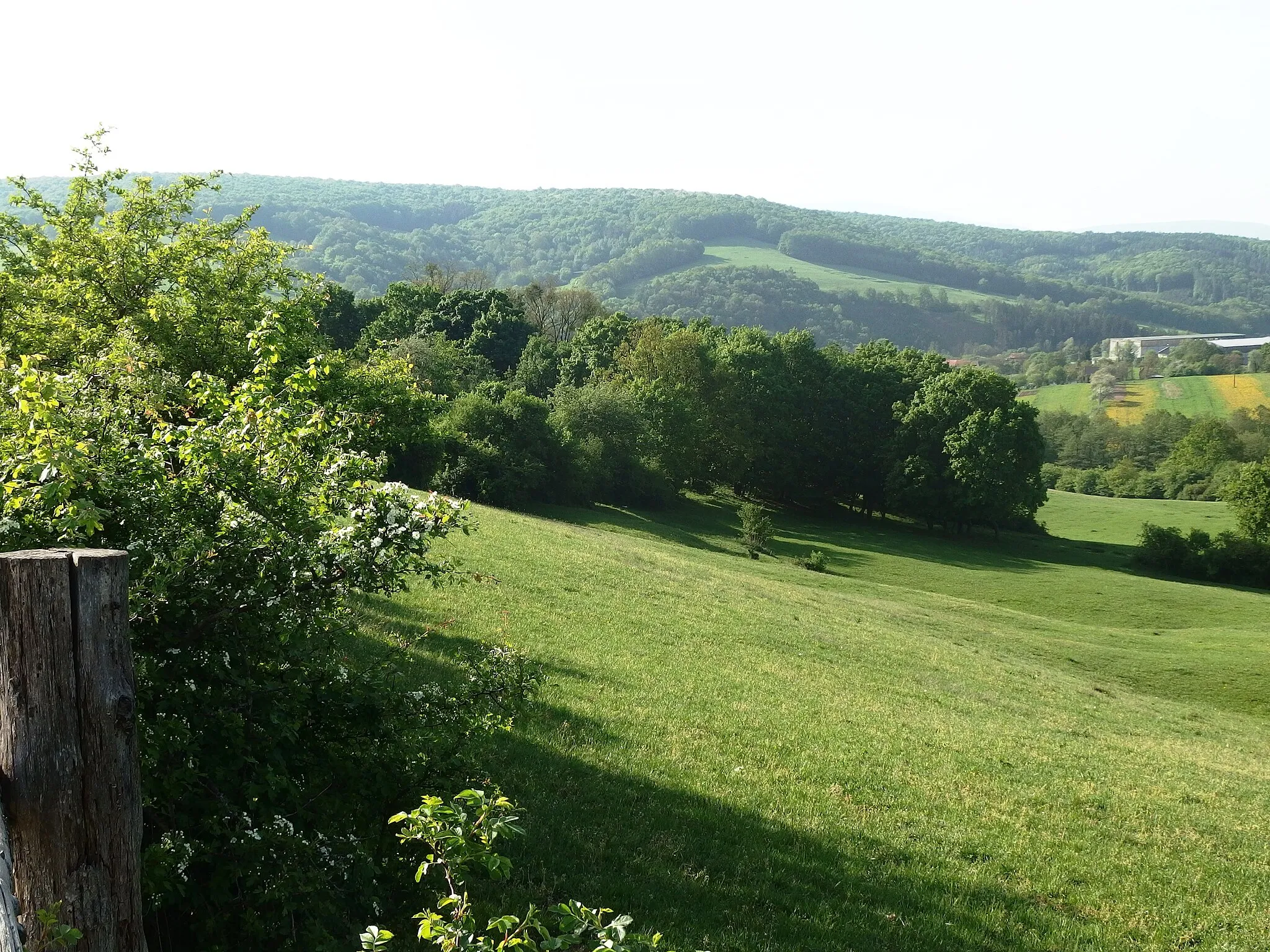 Photo showing: Luhačovice, Zlín District, Czech Republic, part Polichno. Polichno-Pod duby, natural monument.