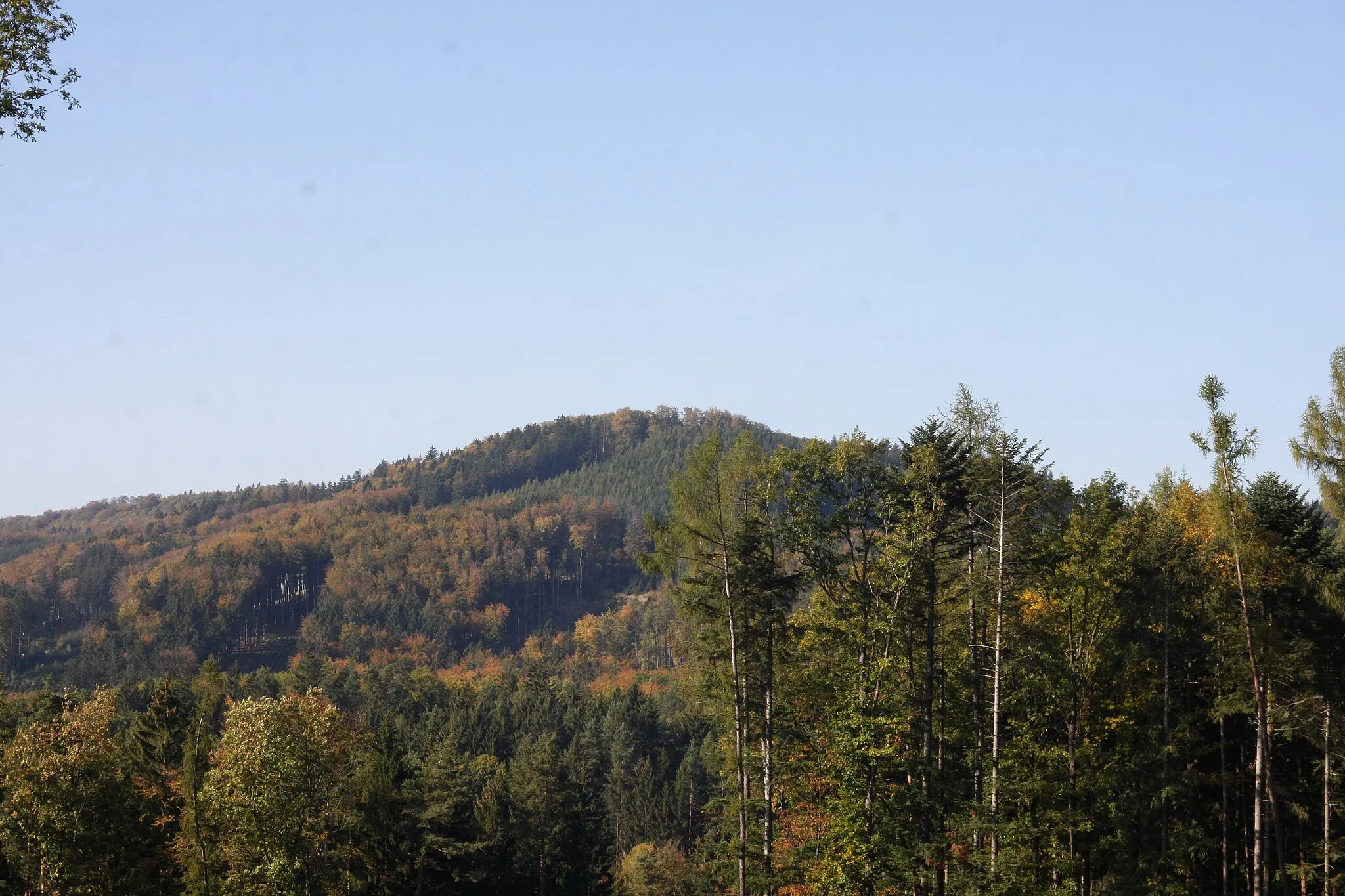 Photo showing: snímek kopce Bzová na němž se nachází Přírodní památka Bzová