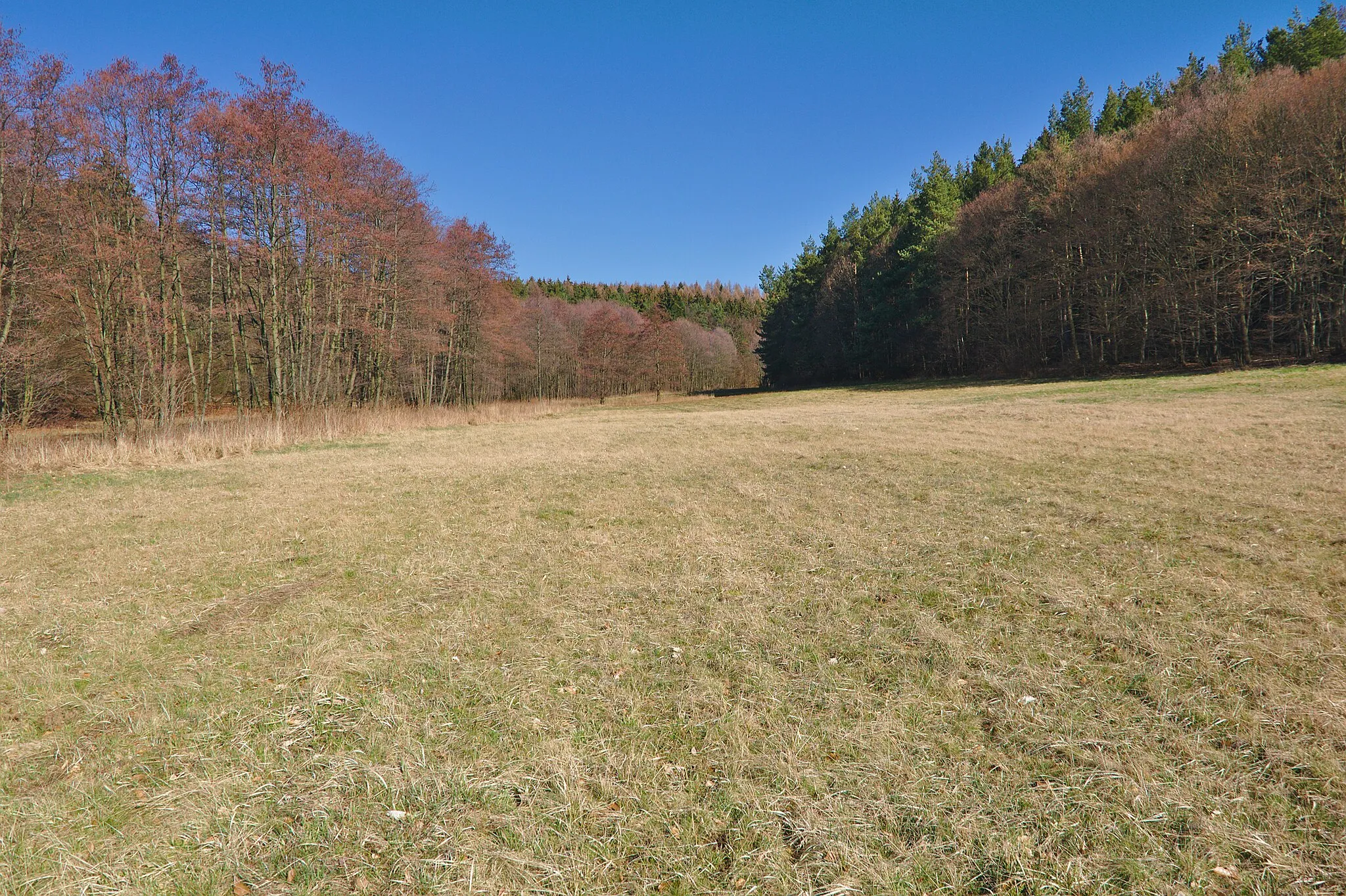 Photo showing: Přírodní rezervace Studnické louky, okres Vyškov