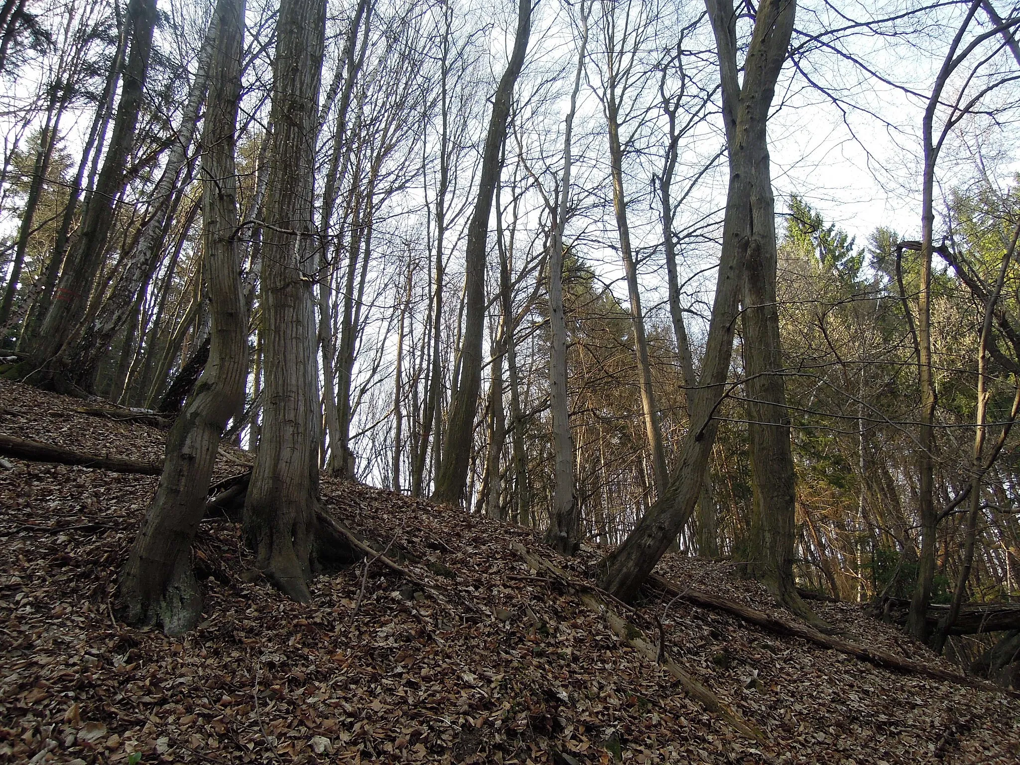 Photo showing: Bečevná natural monument in Vsetín, Vsetín District, Zlín Region, Czech Republic