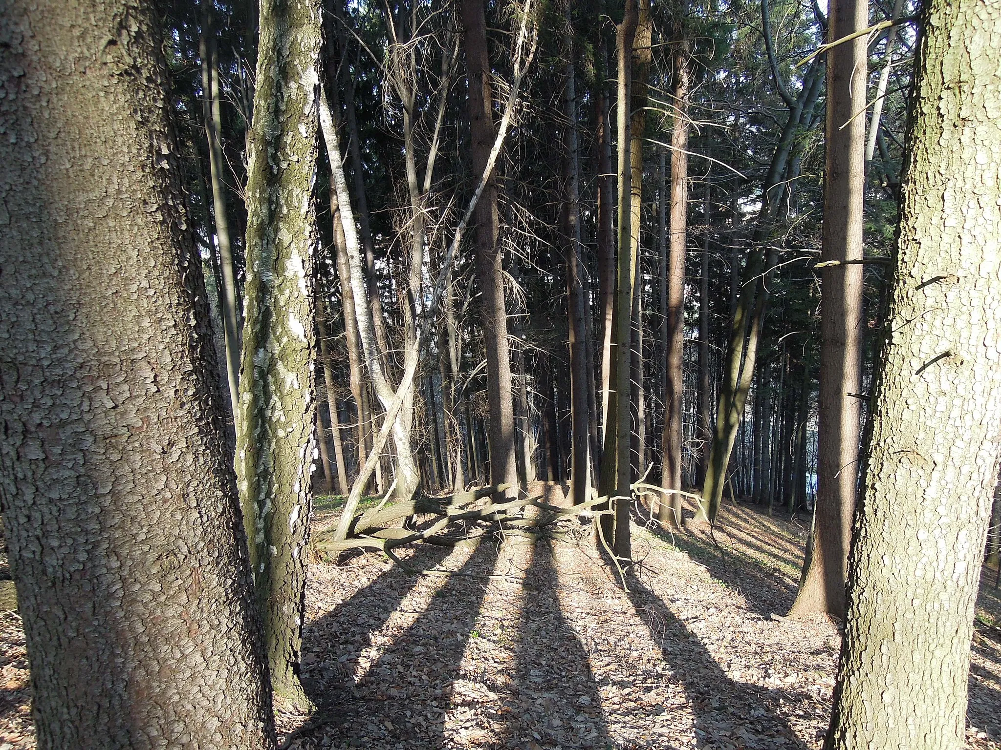 Photo showing: Bečevná natural monument in Vsetín, Vsetín District, Zlín Region, Czech Republic