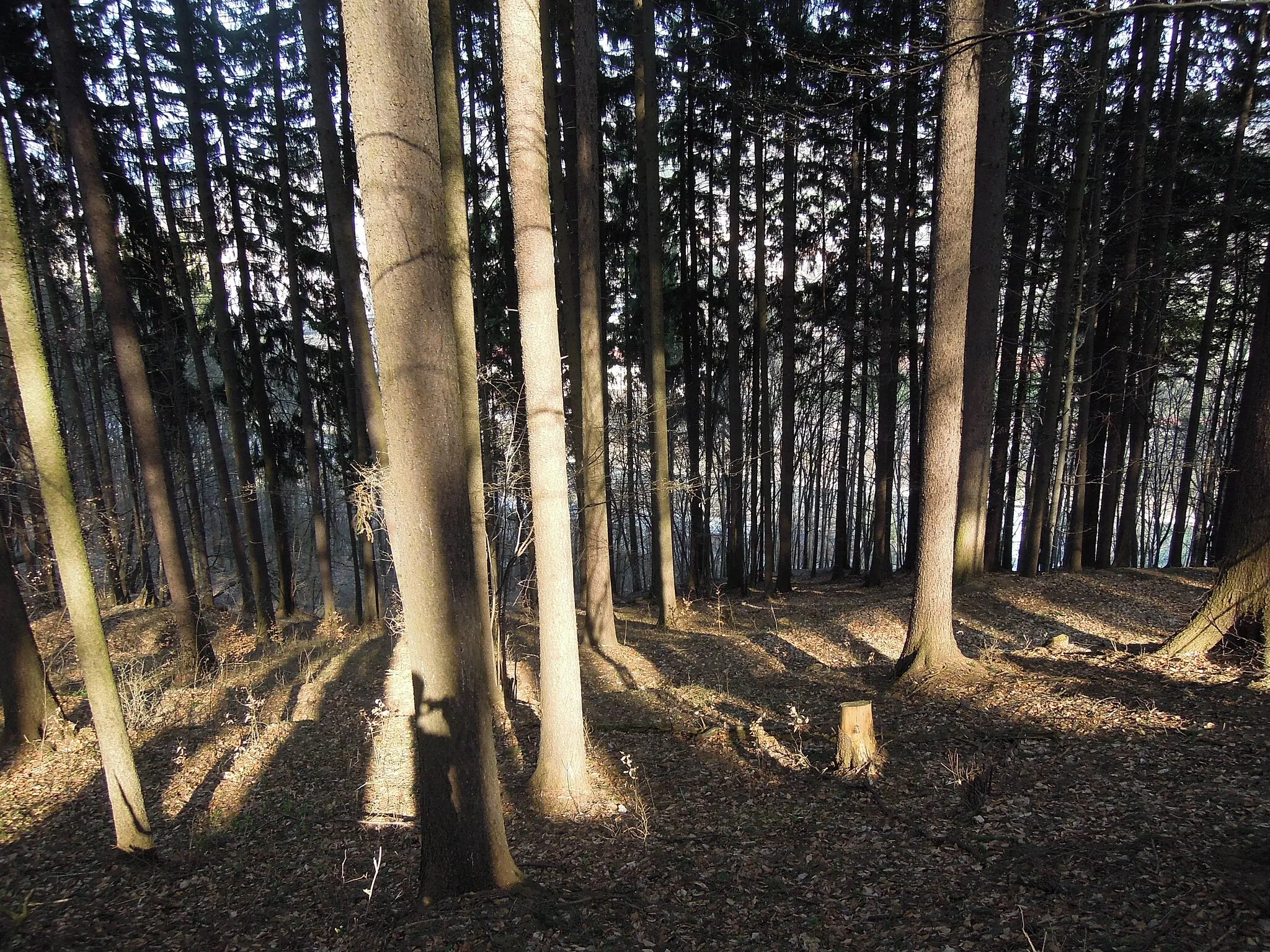 Photo showing: Bečevná natural monument in Vsetín, Vsetín District, Zlín Region, Czech Republic