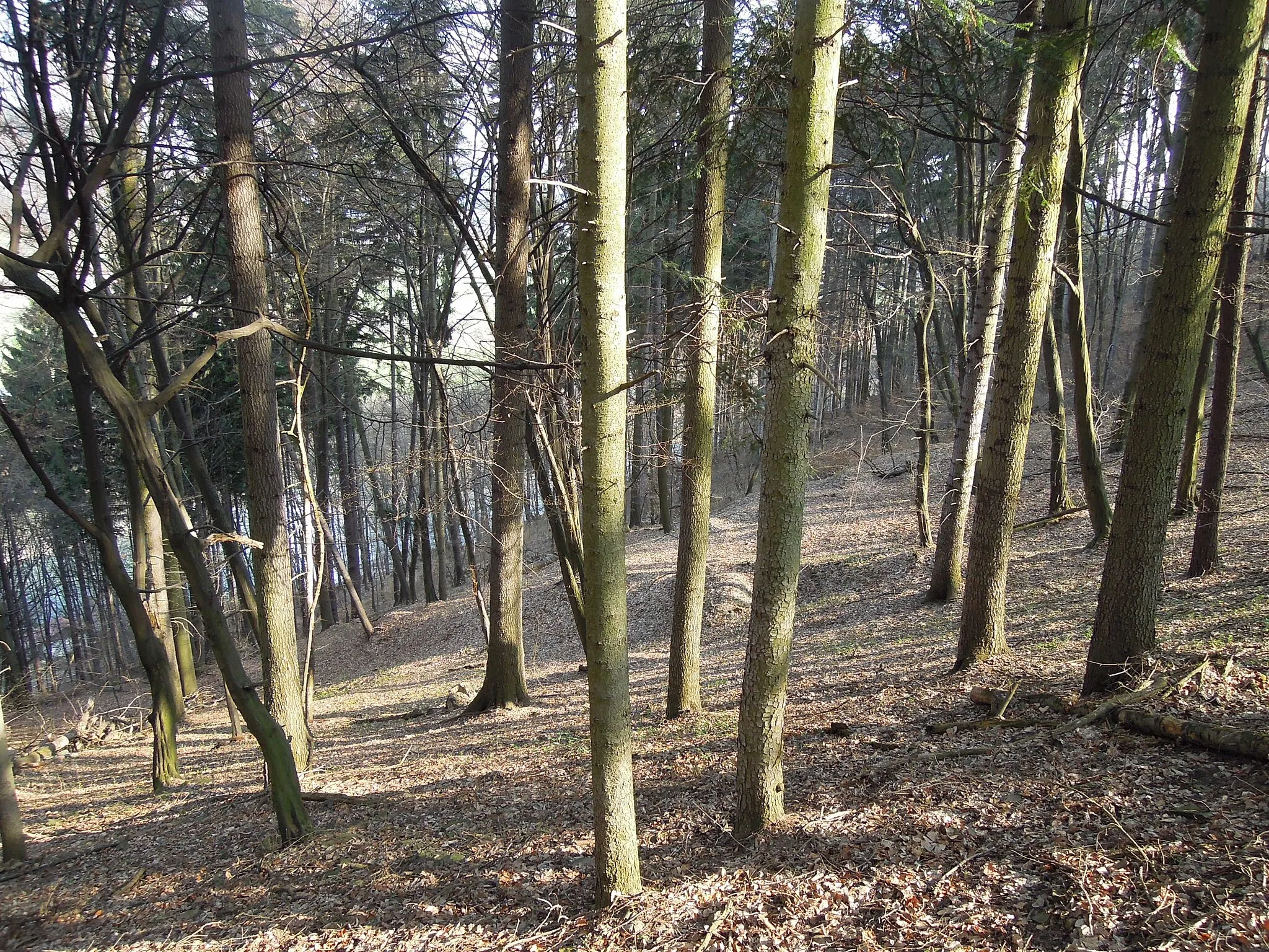 Photo showing: Bečevná natural monument in Vsetín, Vsetín District, Zlín Region, Czech Republic