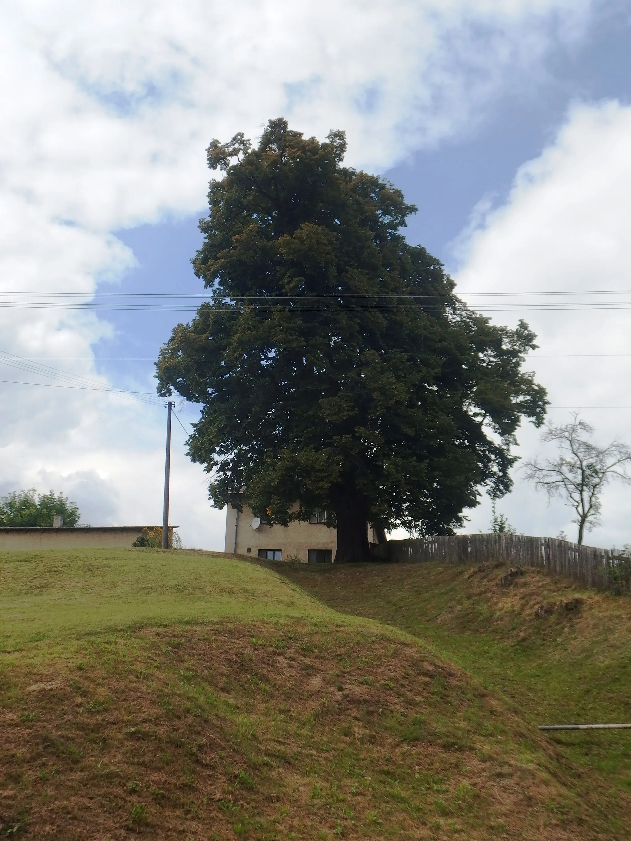 Photo showing: Borušov , Svitavy District, Czech Republic.