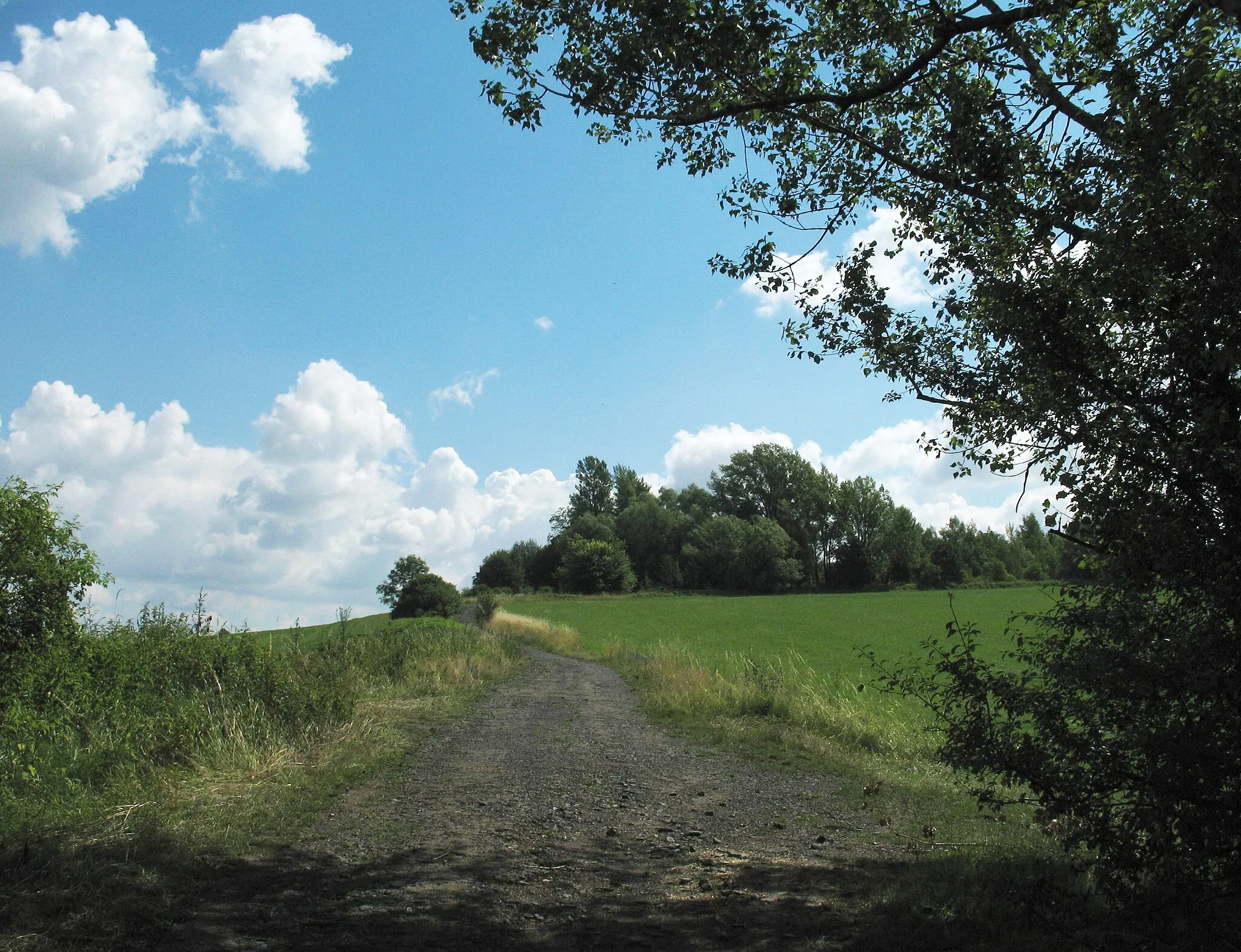 Photo showing: Cesta na Hončovu hůrku