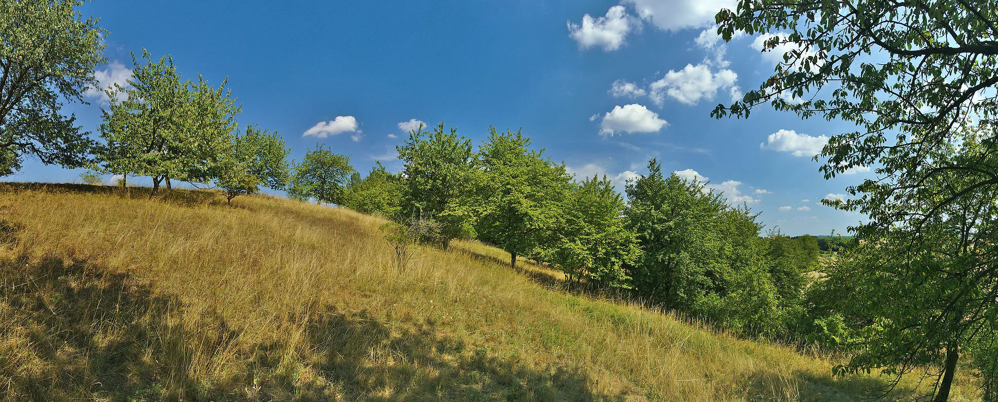 Photo showing: Přírodní památka Za Hrčířkou, Ohrozim, okres Prostějov