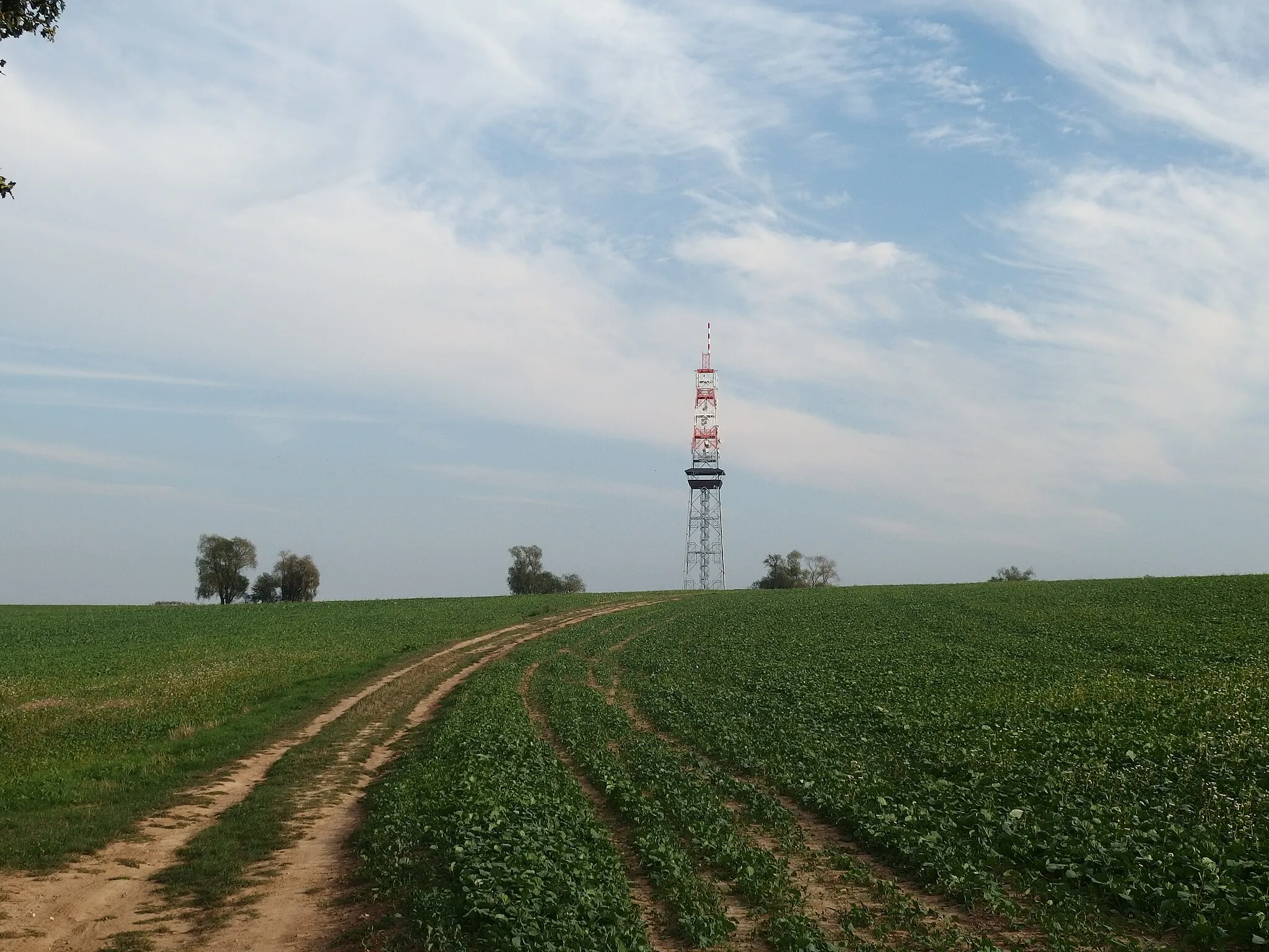 Photo showing: Uherské Hradiště, Czech Republic, part Jarošov. Rovnina observation tower,