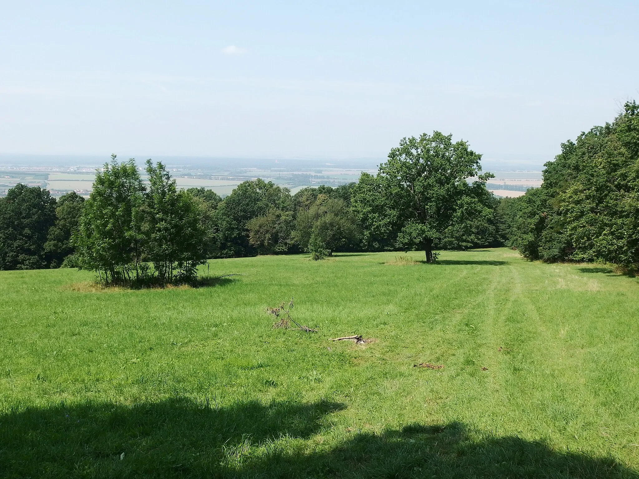 Photo showing: Kněždub, Hodonín District, Czechia. Šumárník hill (398 m).