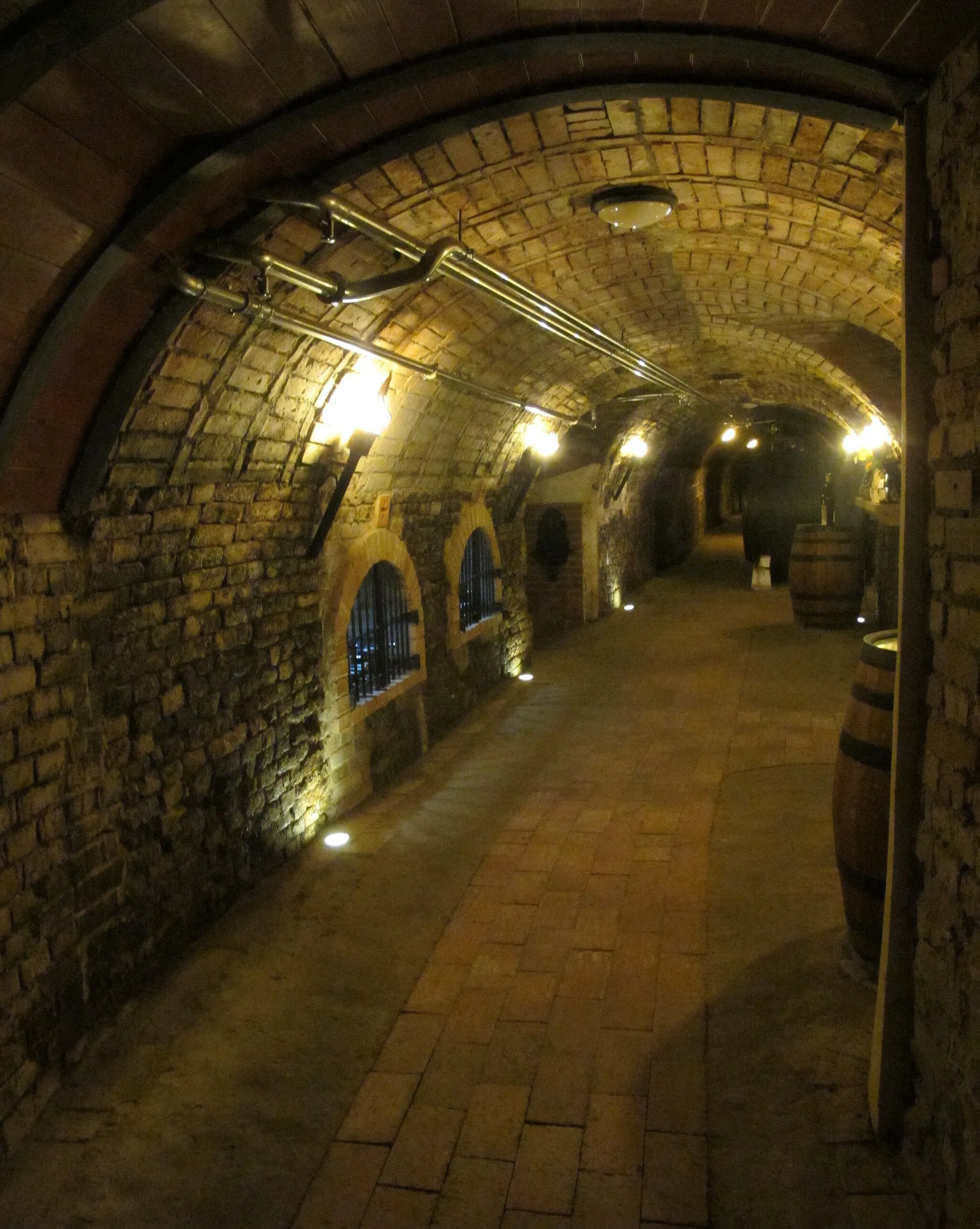 Photo showing: Templar Wine Cellars of Čejkovice, Hodonín District in Czech Republic