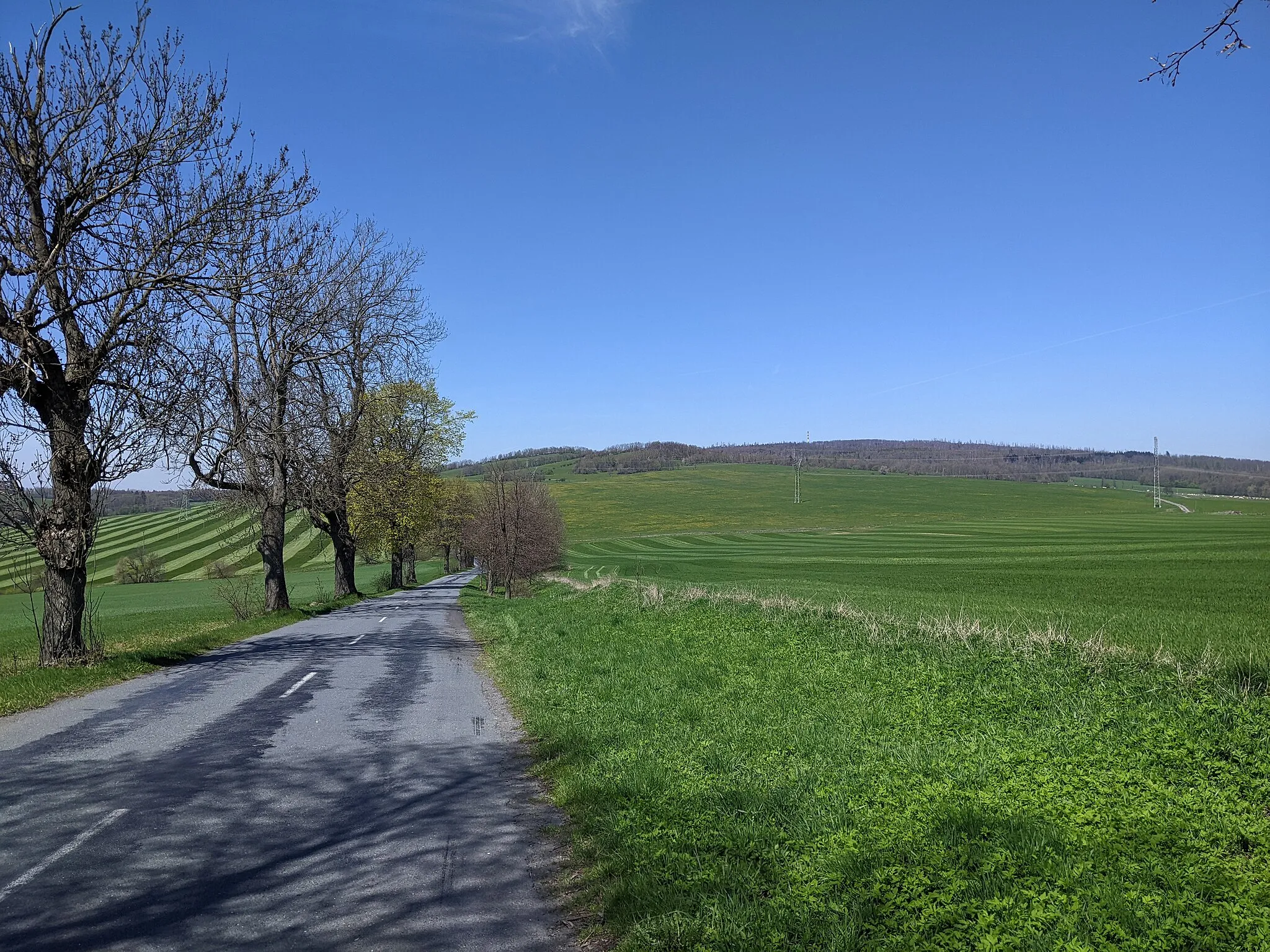 Photo showing: Slunečná (802 m) - pohled od silnice z Moravského Berouna do Dětřichova n. Bystřicí