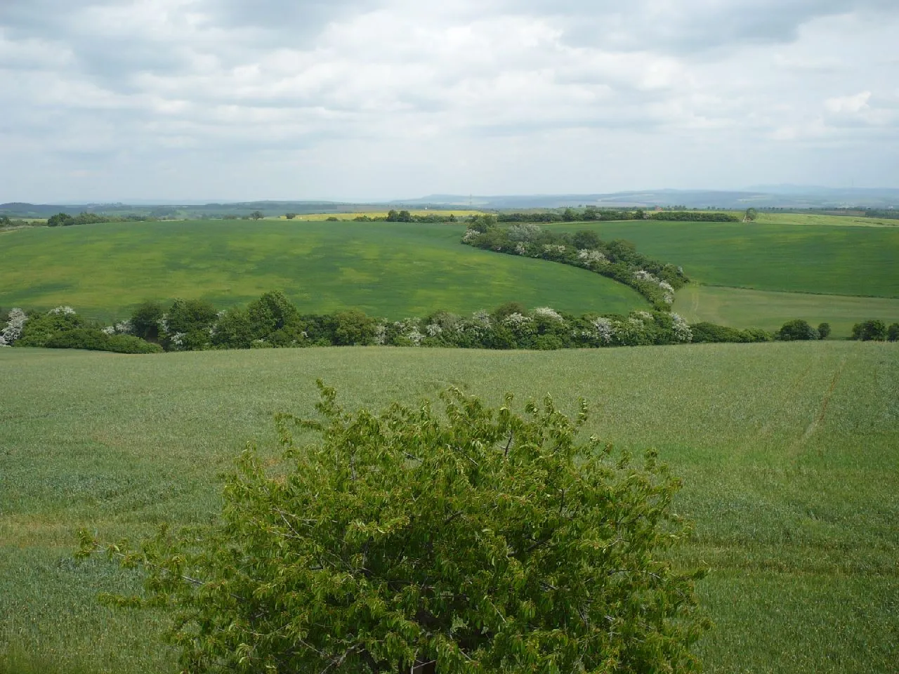 Photo showing: Observation tower Modra - district Uherske Hradiste