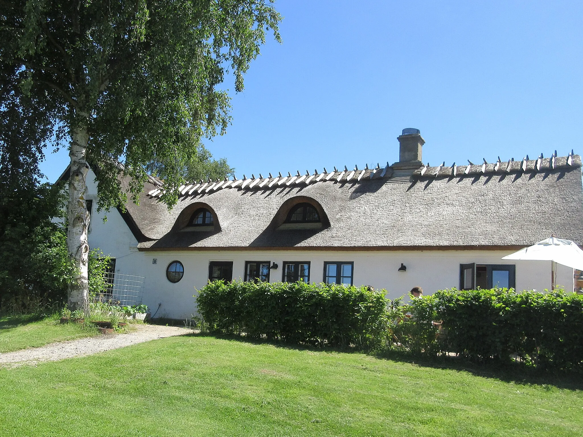 Photo showing: Rabarbergaarden in Golløse, Denmark.