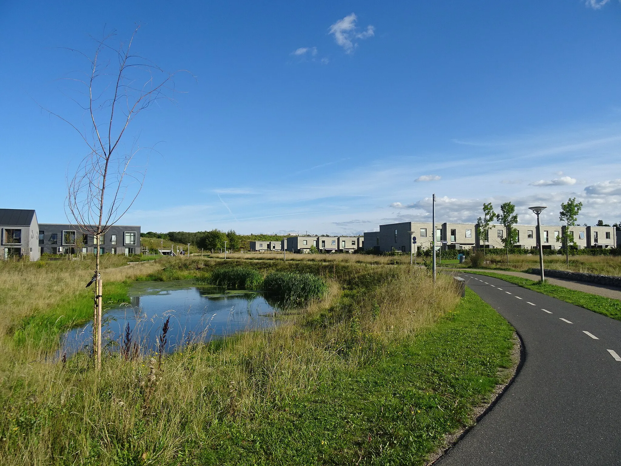 Photo showing: Unnamed lake in Hvissinge in Copenhagen. At the right the super bikeway route C99 Albertslundruten.