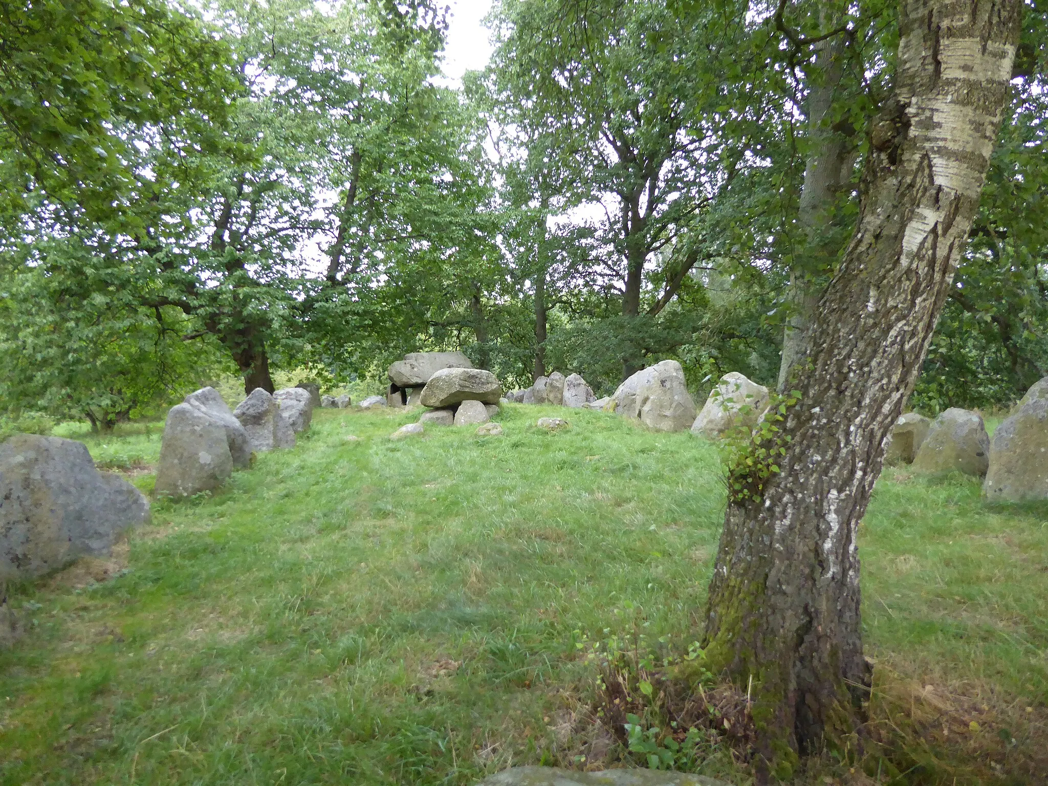 Photo showing: Dæmpegårdsdyssen in Tokkekøb Hegn, North Zealand, Denmark