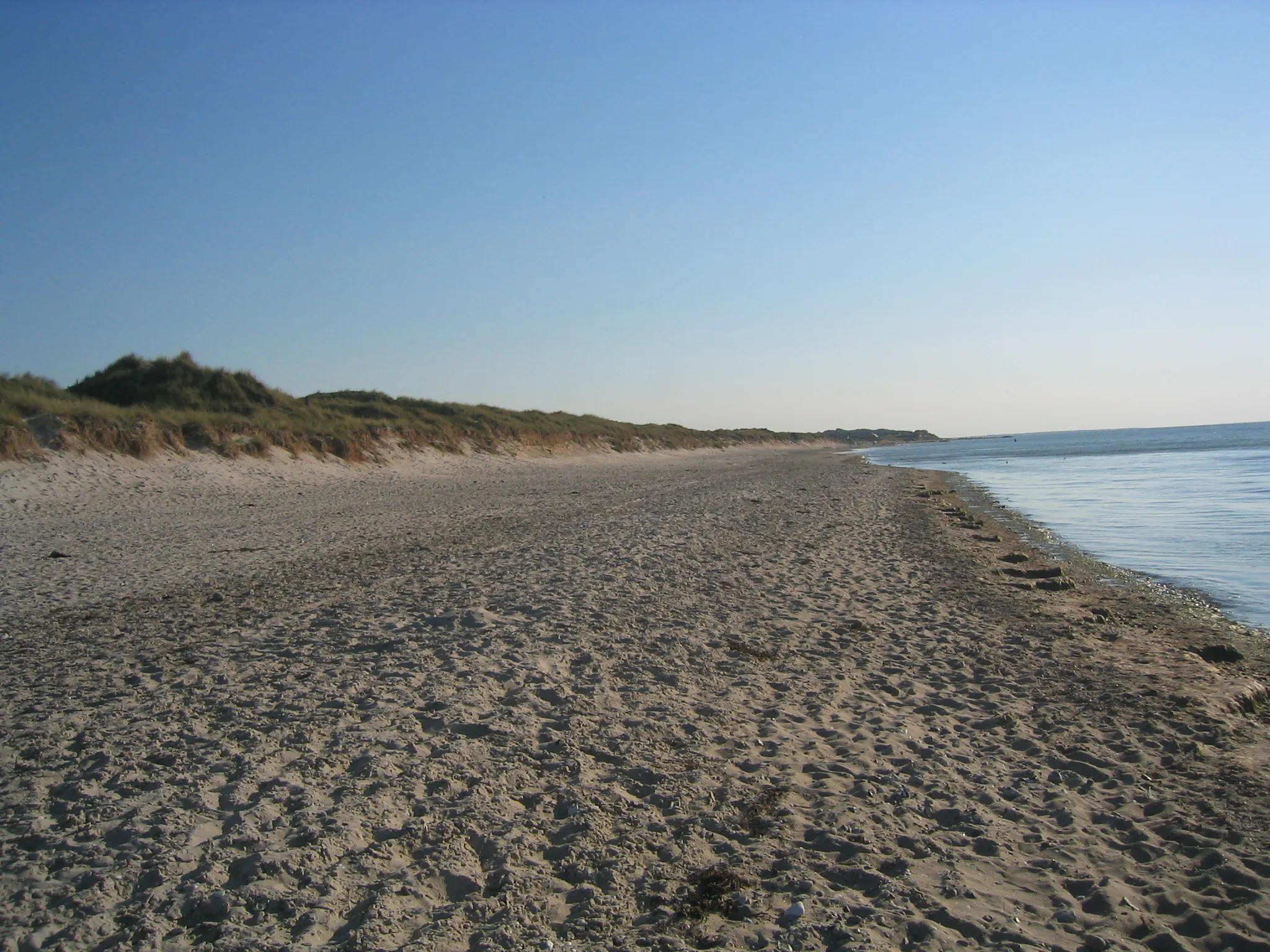 Photo showing: The beach at the end of Tangvej, Melbylejren, Asserbo, Denmark. The picture was taken in direction ESE of Liseleje (Note: Picture has Geotag information stored in EXIF.)