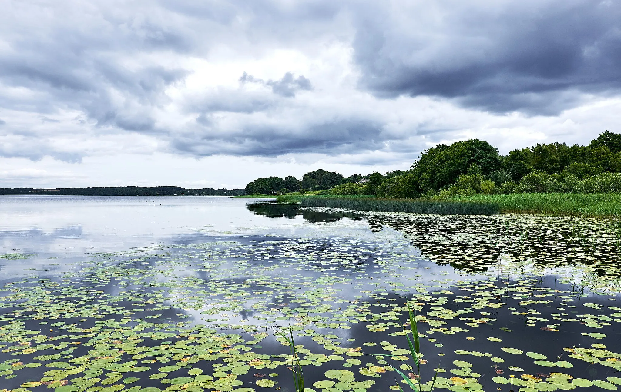 Photo showing: Lake Sjælsoe on a cloudy summers day in july