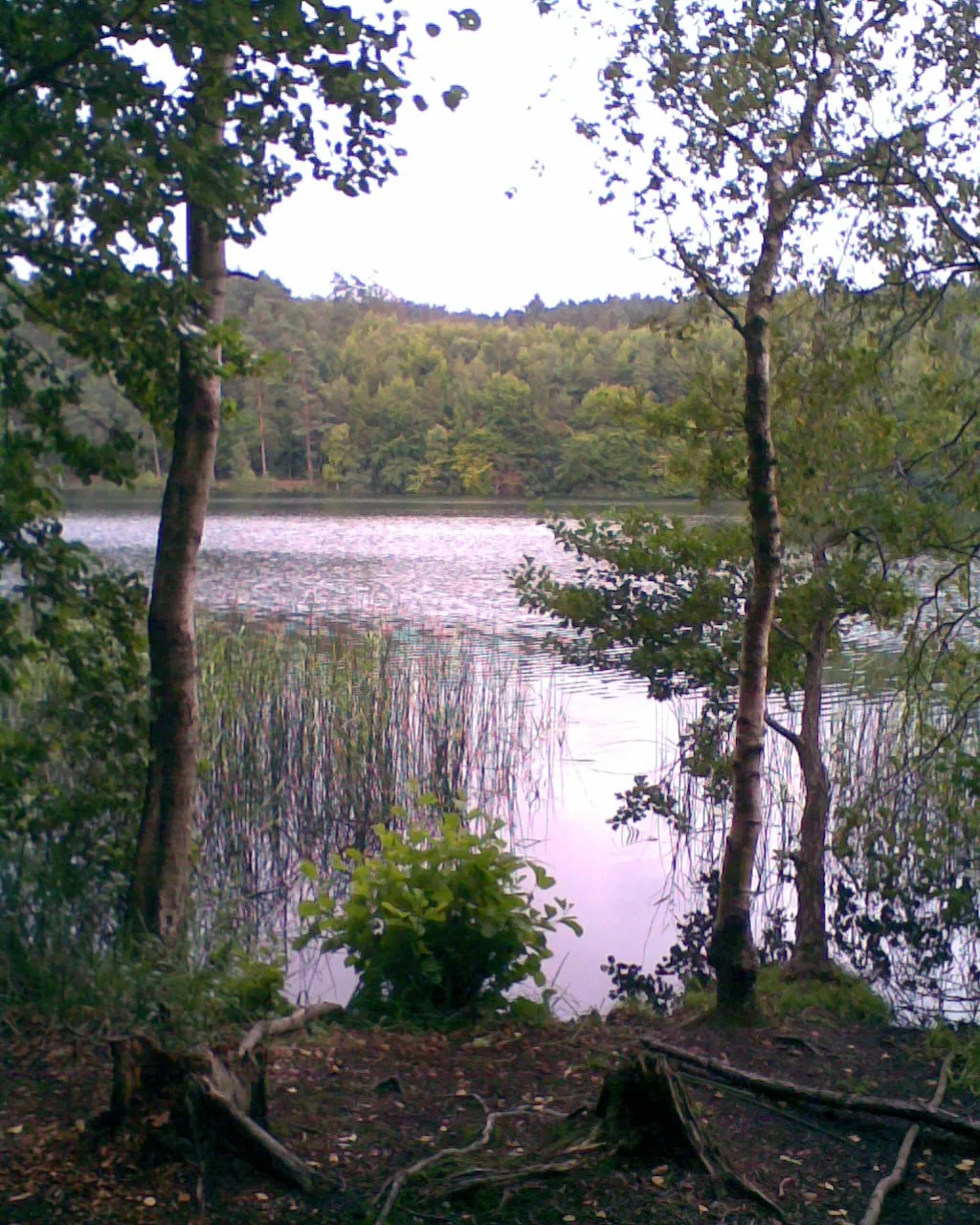 Photo showing: Lake Slåensø near Silkeborg, Denmark