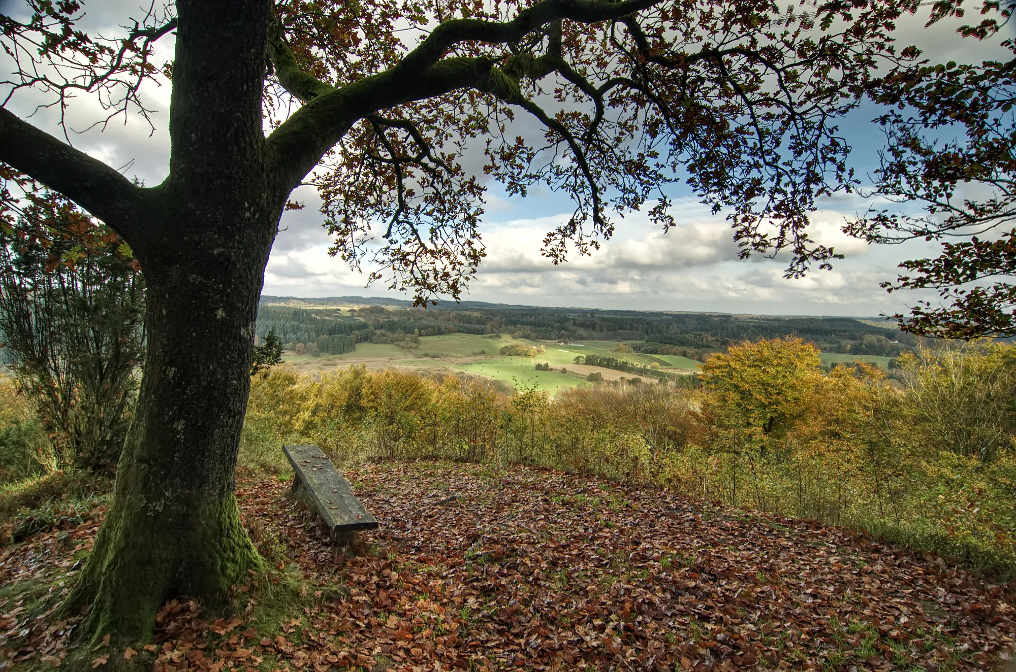 Photo showing: Udsigt fra Velling Kalv i Velling Skov.