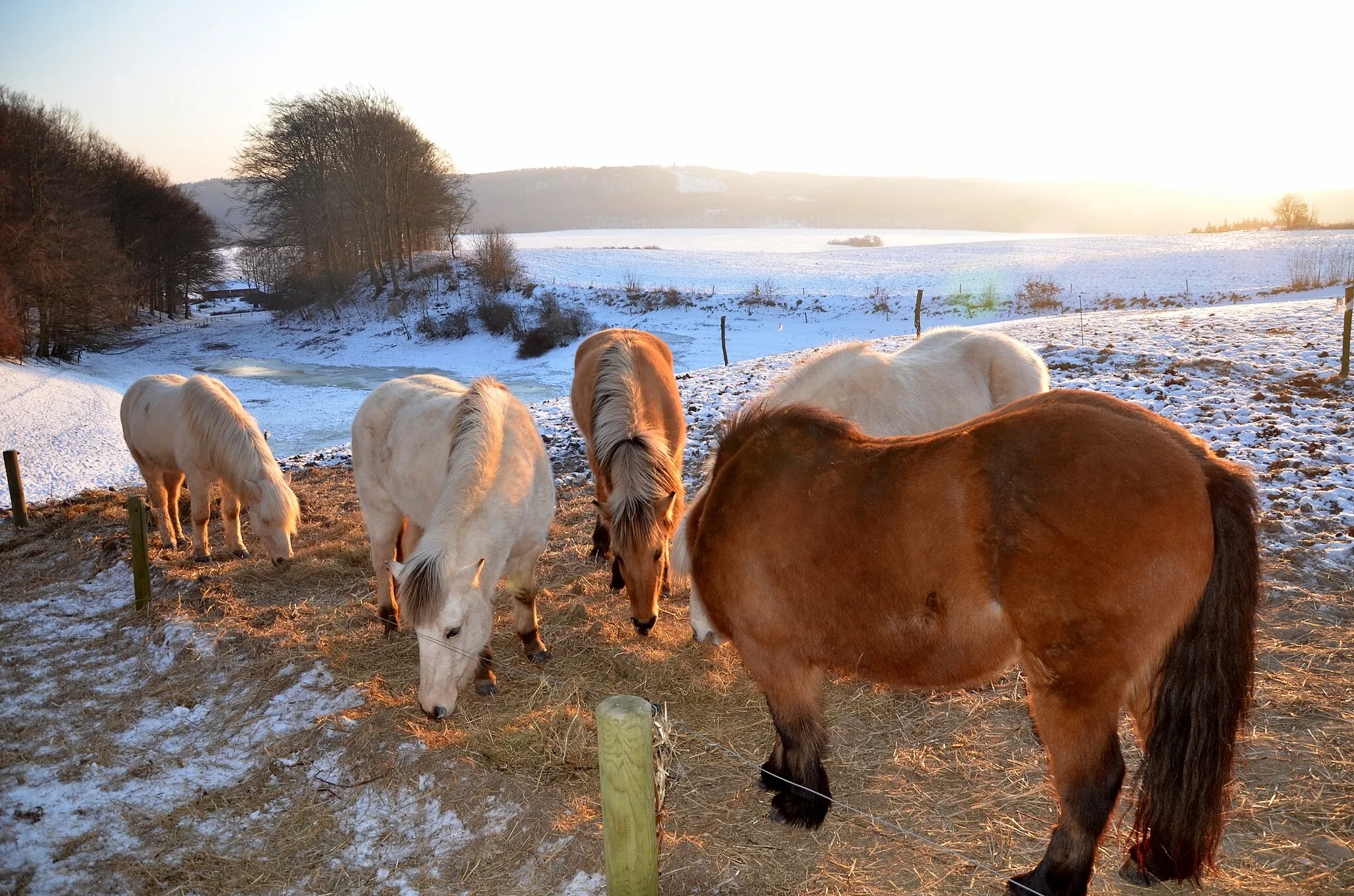 Photo showing: Juelsø ved Laven