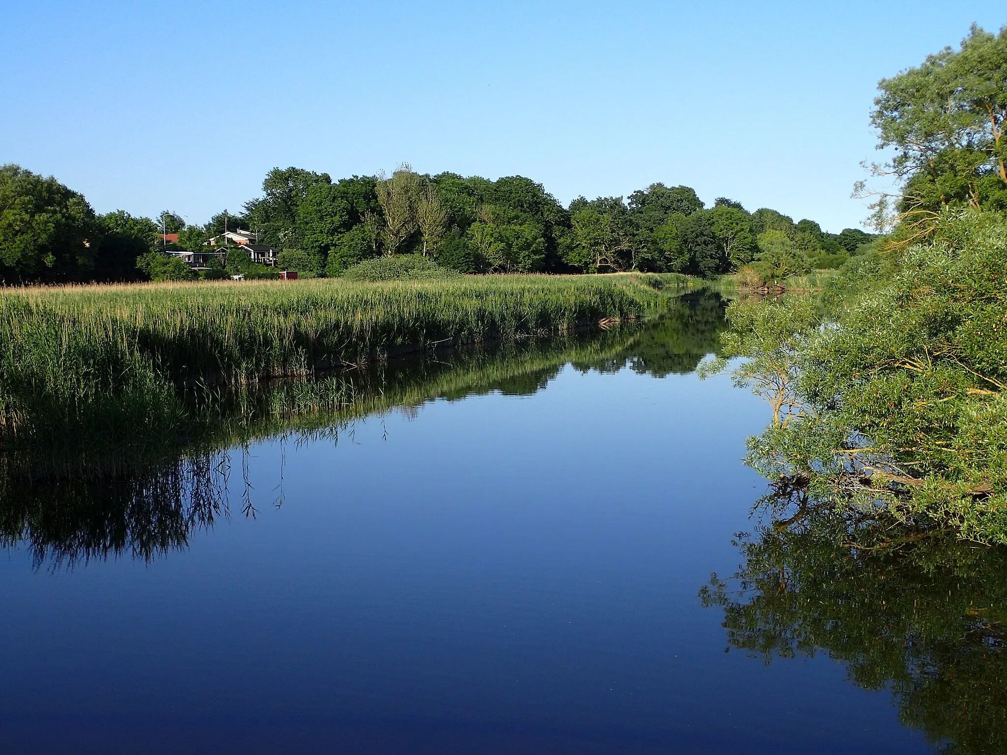 Photo showing: Aarhus Å lige efter udløbet fra Brabrandsøen.