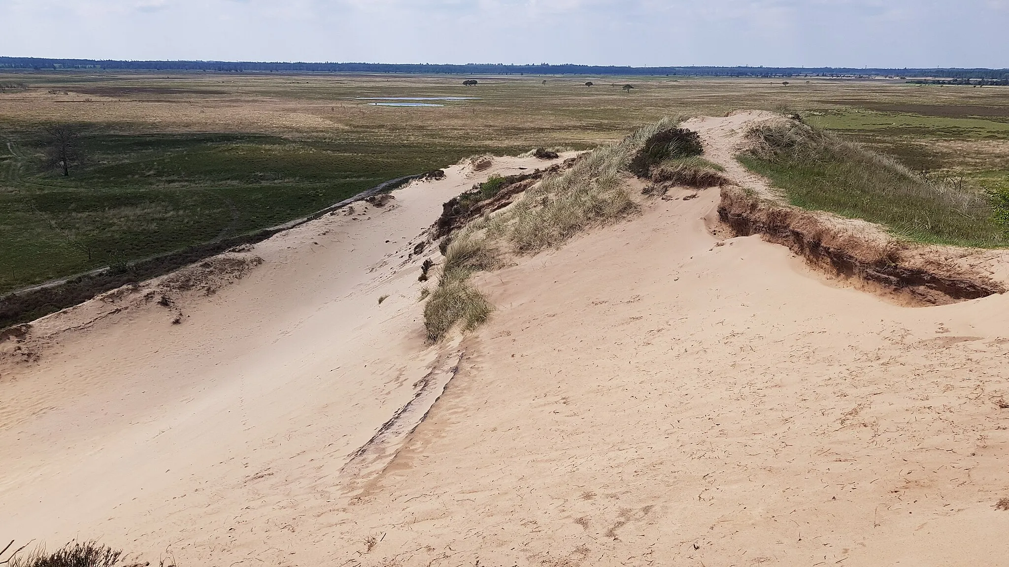 Photo showing: Stoltenbjerg. Sandet under linjen i sandet her er aflejret ca 5800 år før Kristus. Det over er aflejret sidst i 1500-tallet