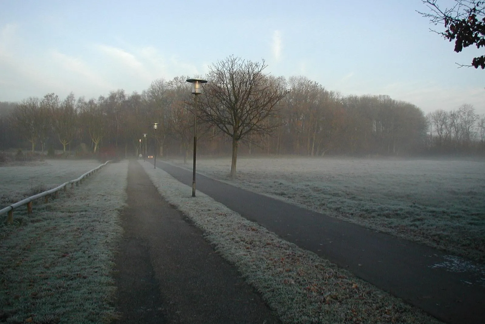 Photo showing: A foggy morning at 10 AM.