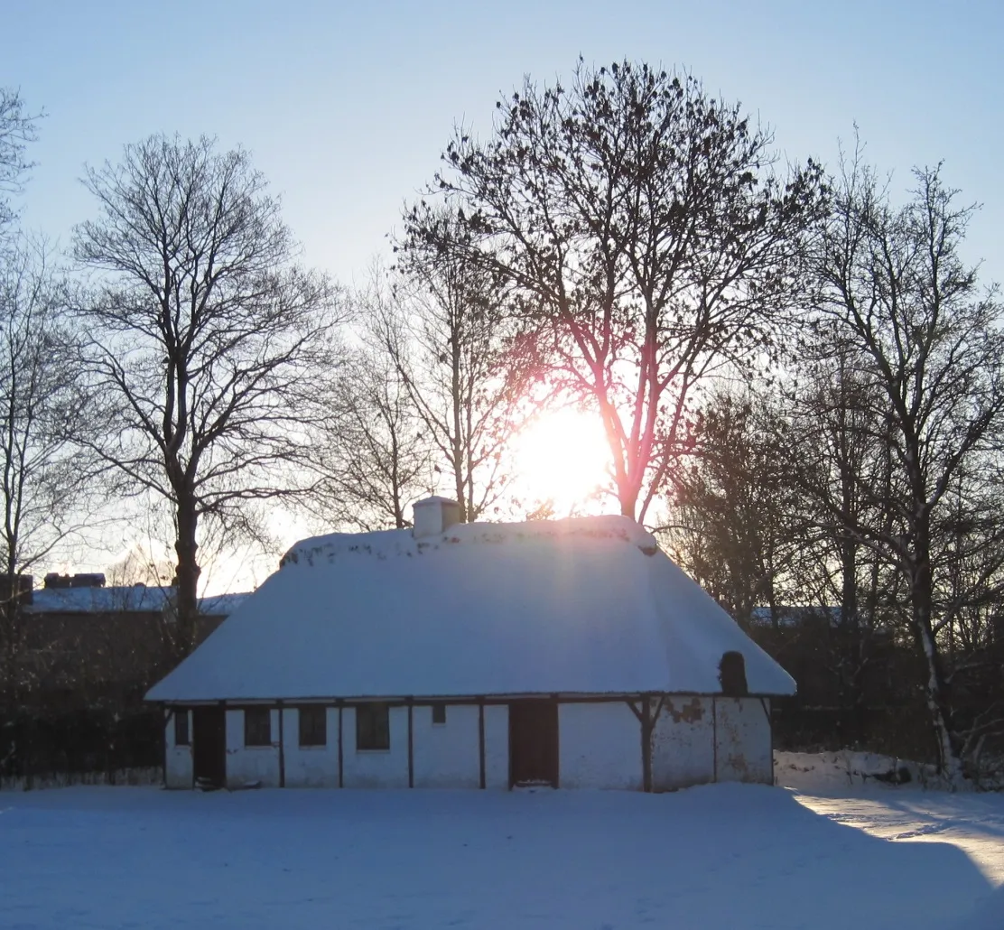 Photo showing: Ane Marie Laursen (1890-1969) var eneboer, hun var født og opvokset i huset på Barslund Hede ved Grove. Da forældrene døde, blev hun boende og drev selv det lille hedelandbrug videre. Ane Marie blev kendt som hedens sidste eneboer. Huset er efter hendes død blevet flyttet til Frilandsmuseet, Herning.