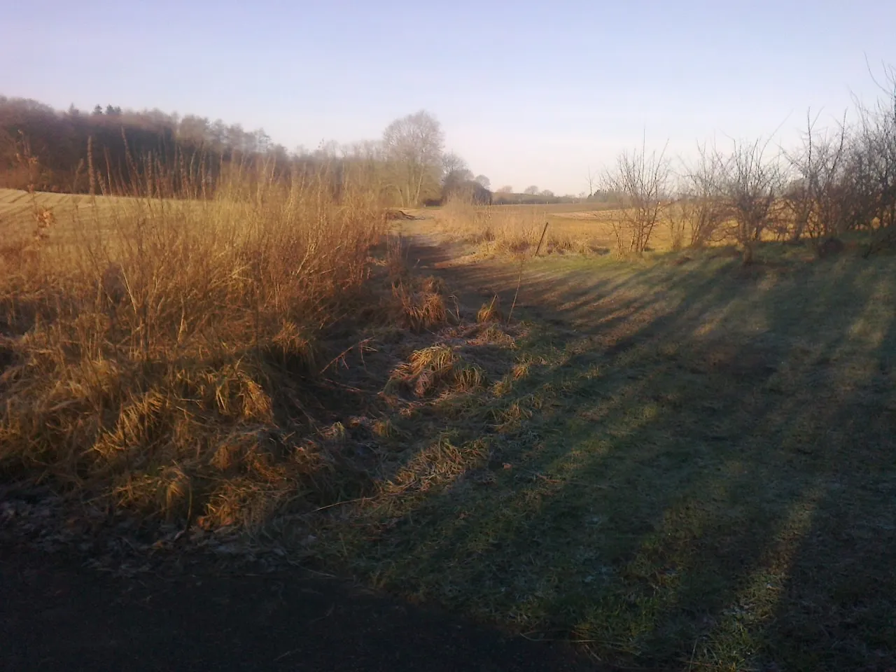 Photo showing: Nedenfor Rødlundvænget