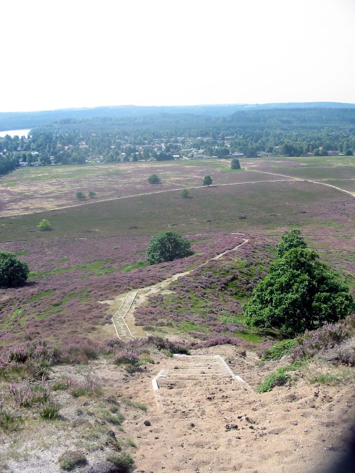 Photo showing: The view from the hill Stoubjerg in Denmark