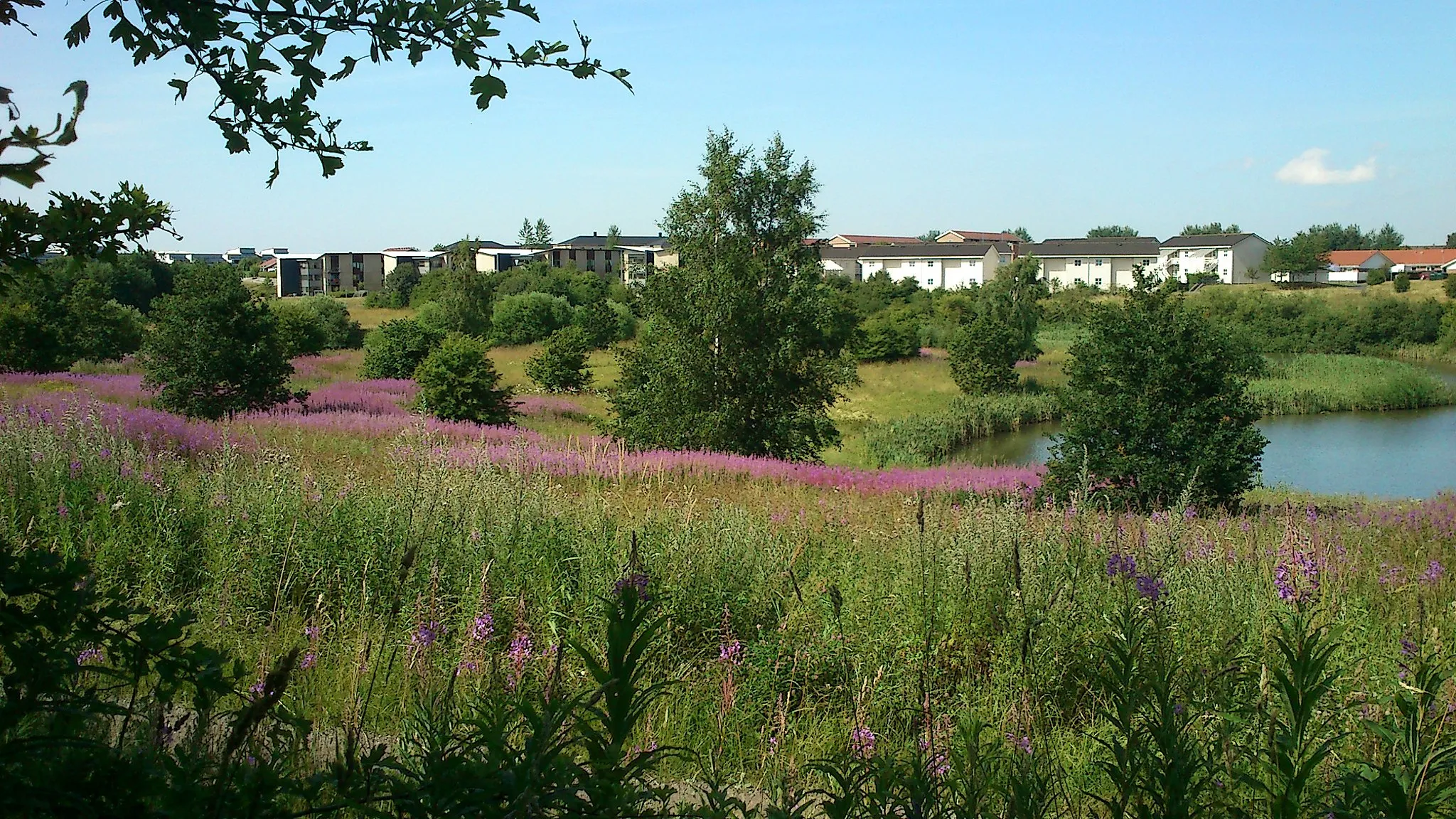 Photo showing: From Skjoldhøjkilen.