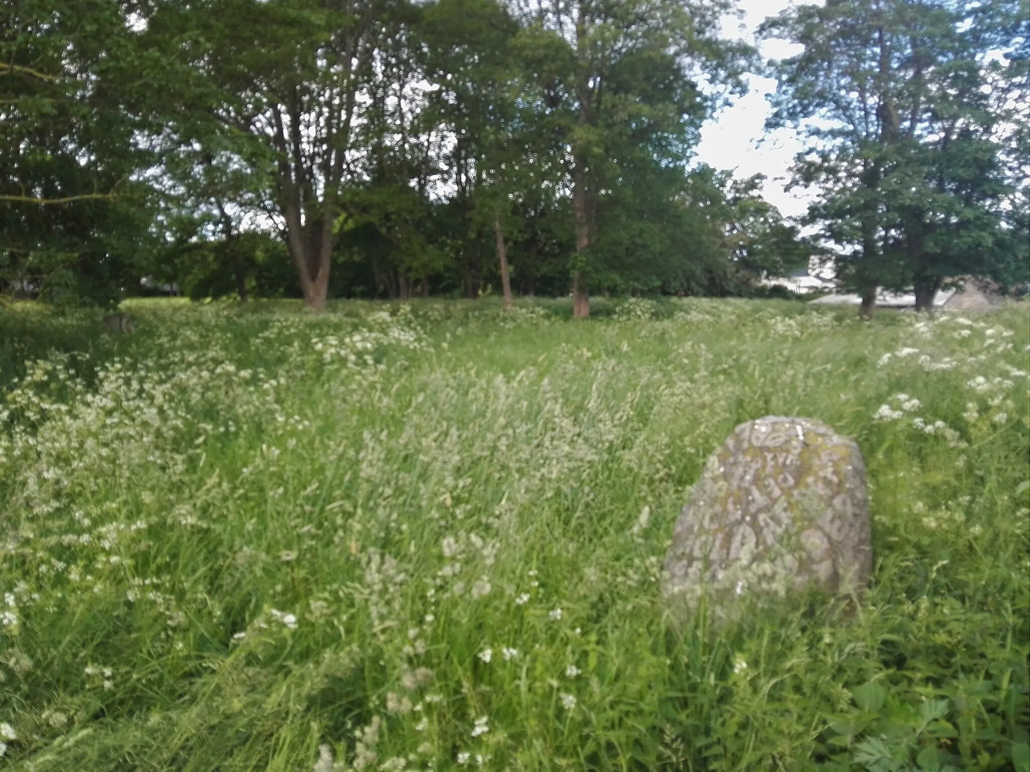 Photo showing: Vorup Gamle Kirkegård fra sydøst