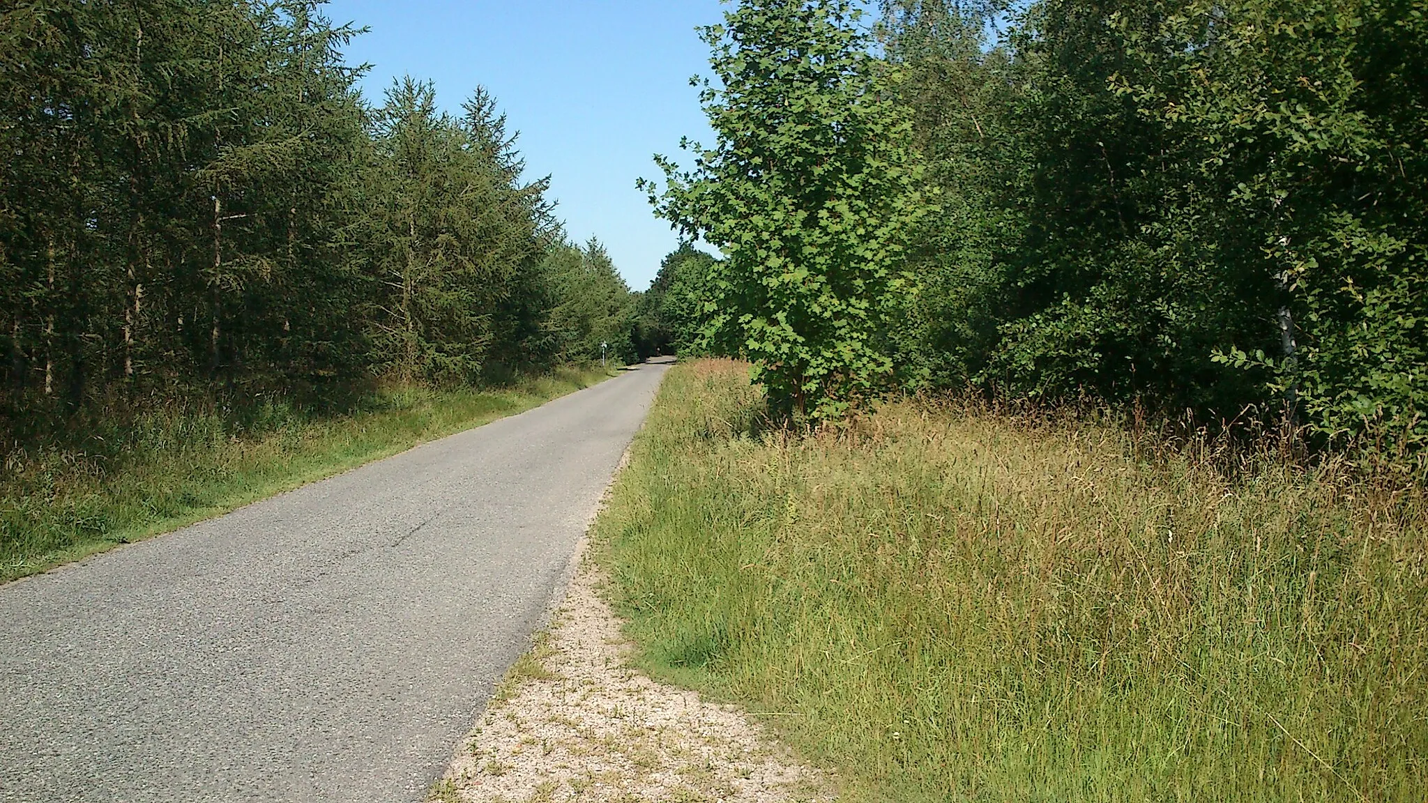 Photo showing: Bærmosevej gennem Bærmoseskov.